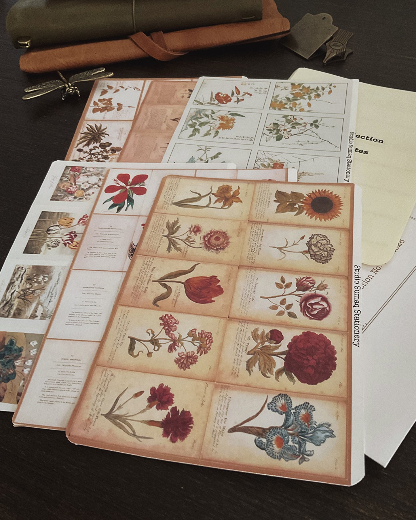 Vernal Studies - Spring Botanical Sticker Collection