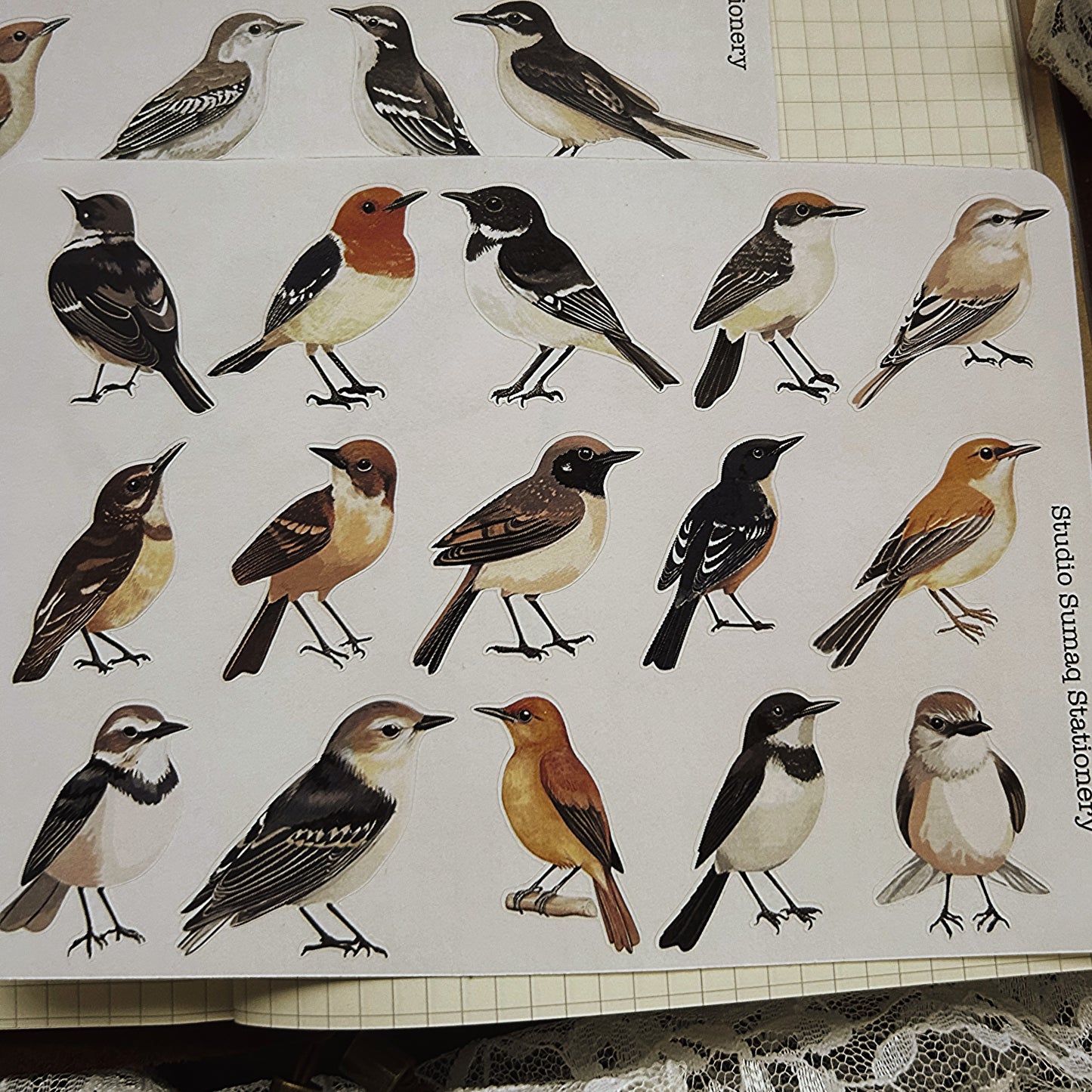 Vintage birds stickers - Decorative ornithology Scrapbook & Journal stickers