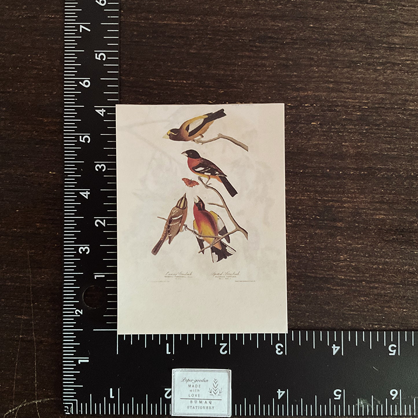 Vintage nature notepad