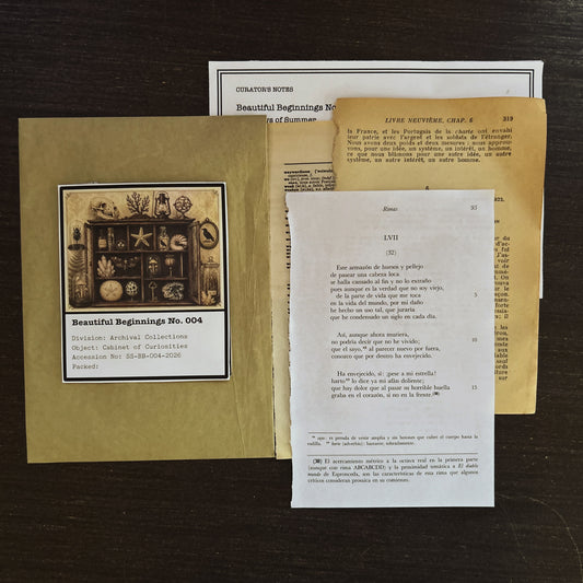 Beautiful Beginnings No. 004. Cabinet of Curiosities