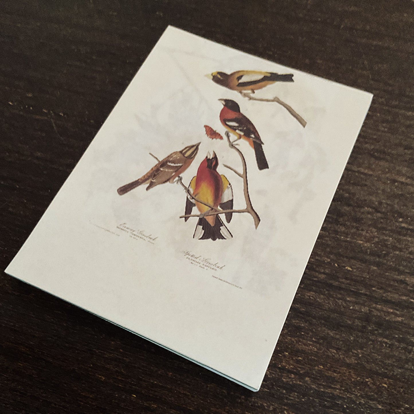 Vintage nature notepad
