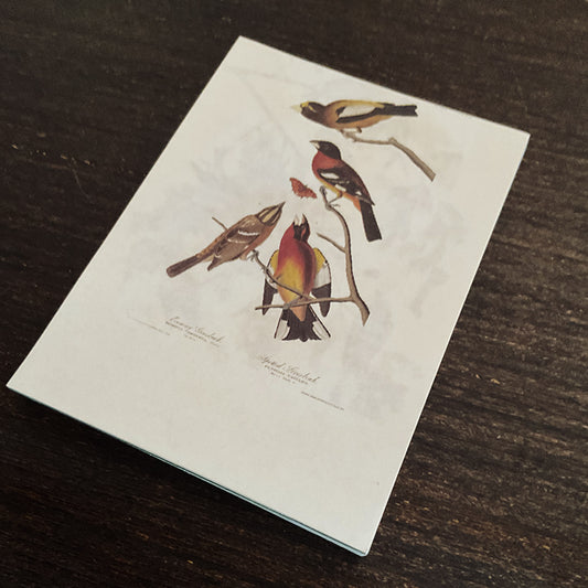 Vintage nature notepad