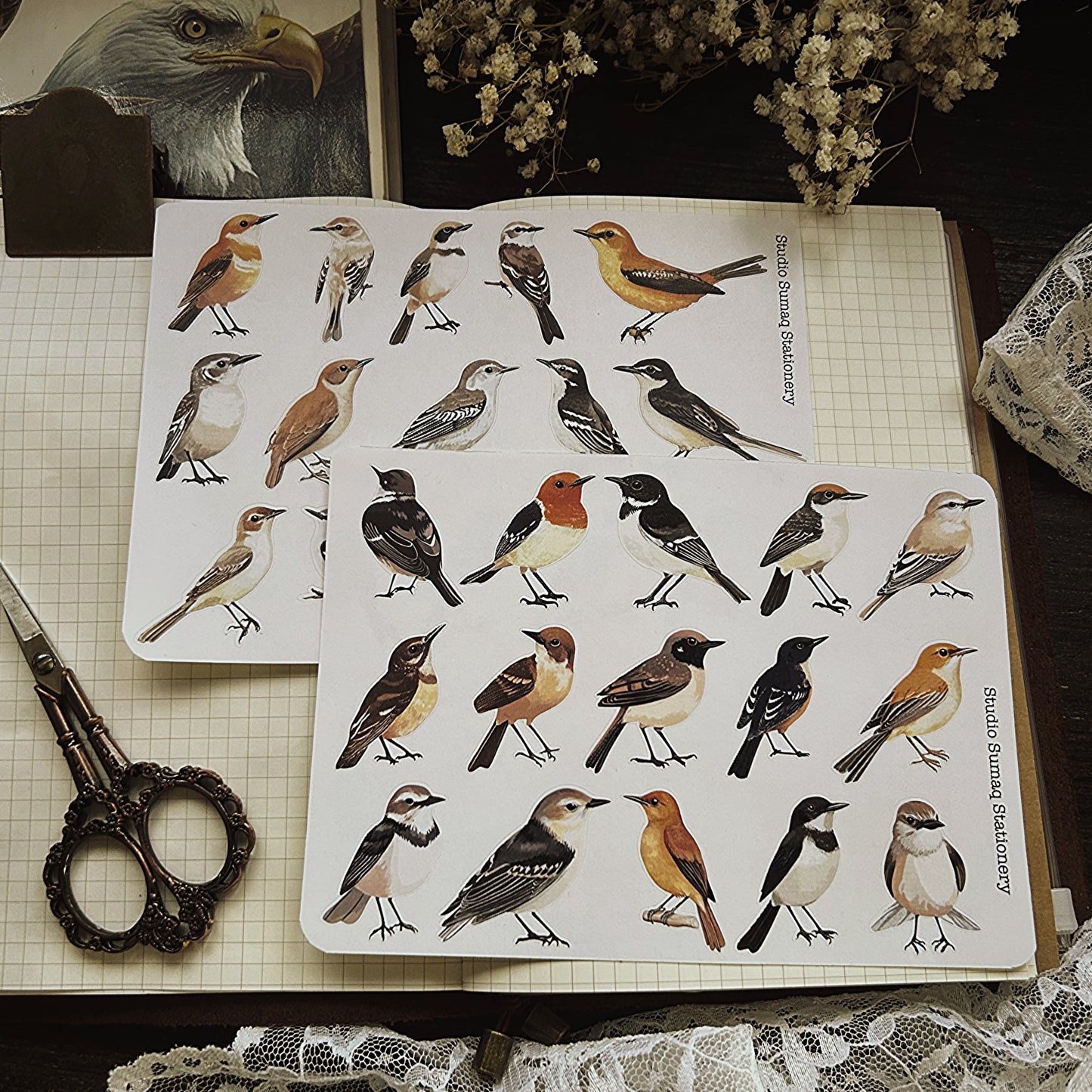 Vintage birds stickers - Decorative ornithology Scrapbook & Journal stickers