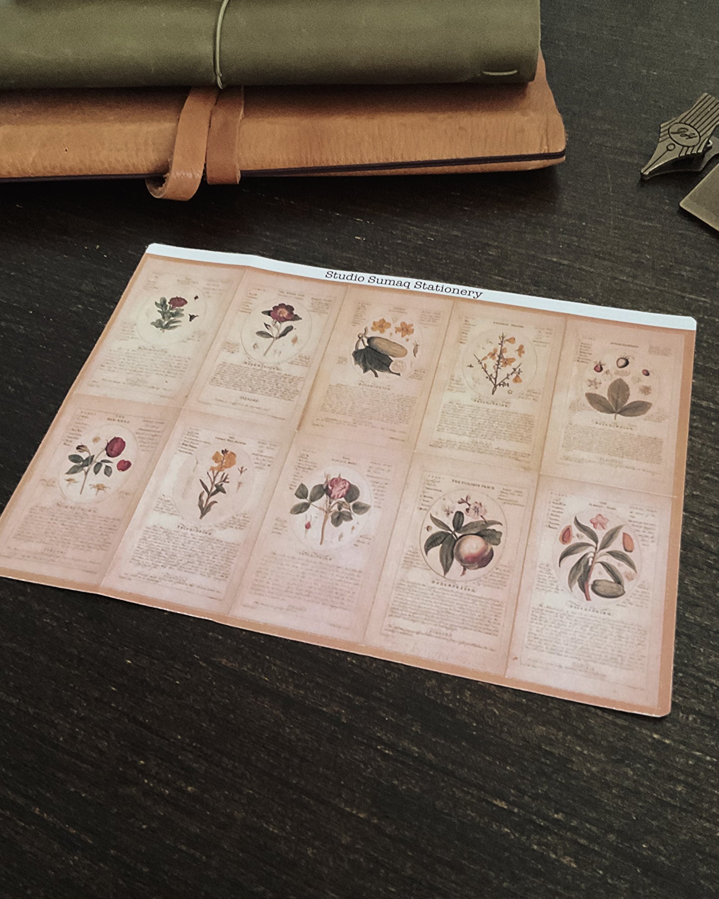 Vernal Studies - Spring Botanical Sticker Collection