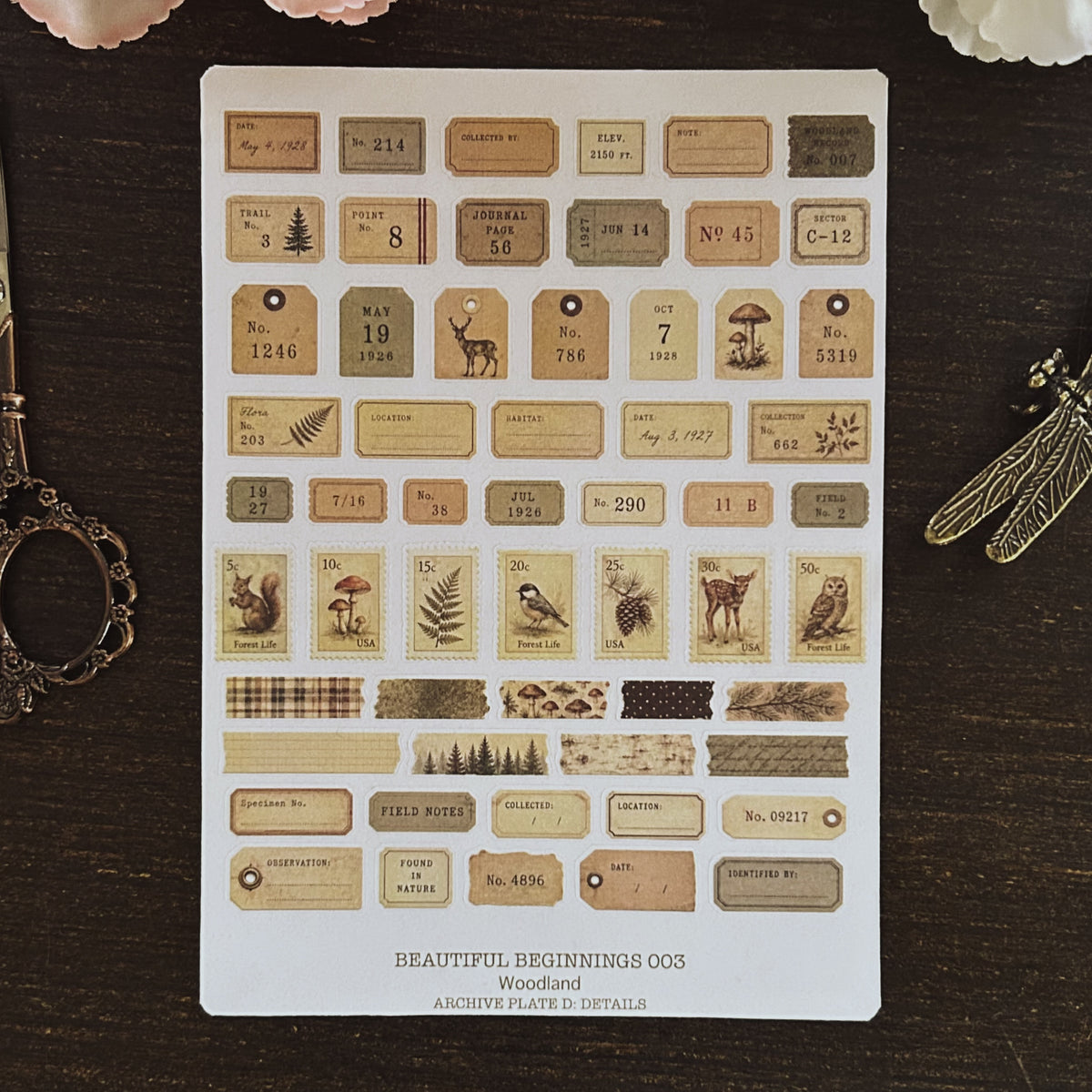Beautiful Beginnings No. 003. Woodland