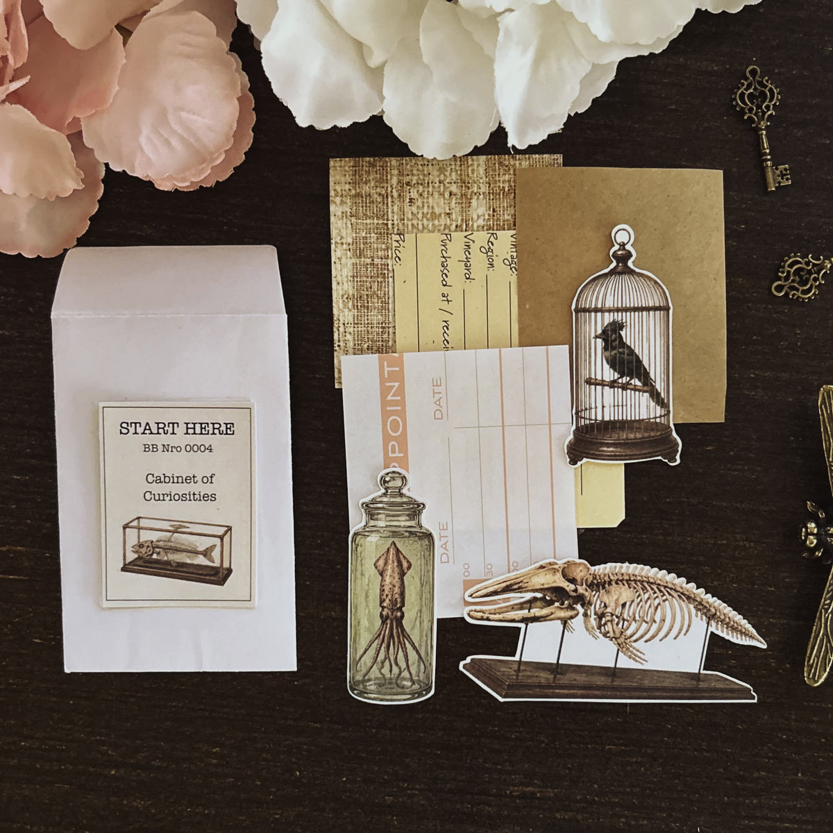 Beautiful Beginnings No. 004. Cabinet of Curiosities