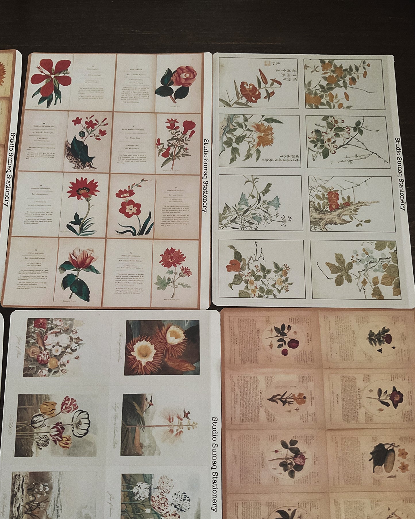 Vernal Studies - Spring Botanical Sticker Collection