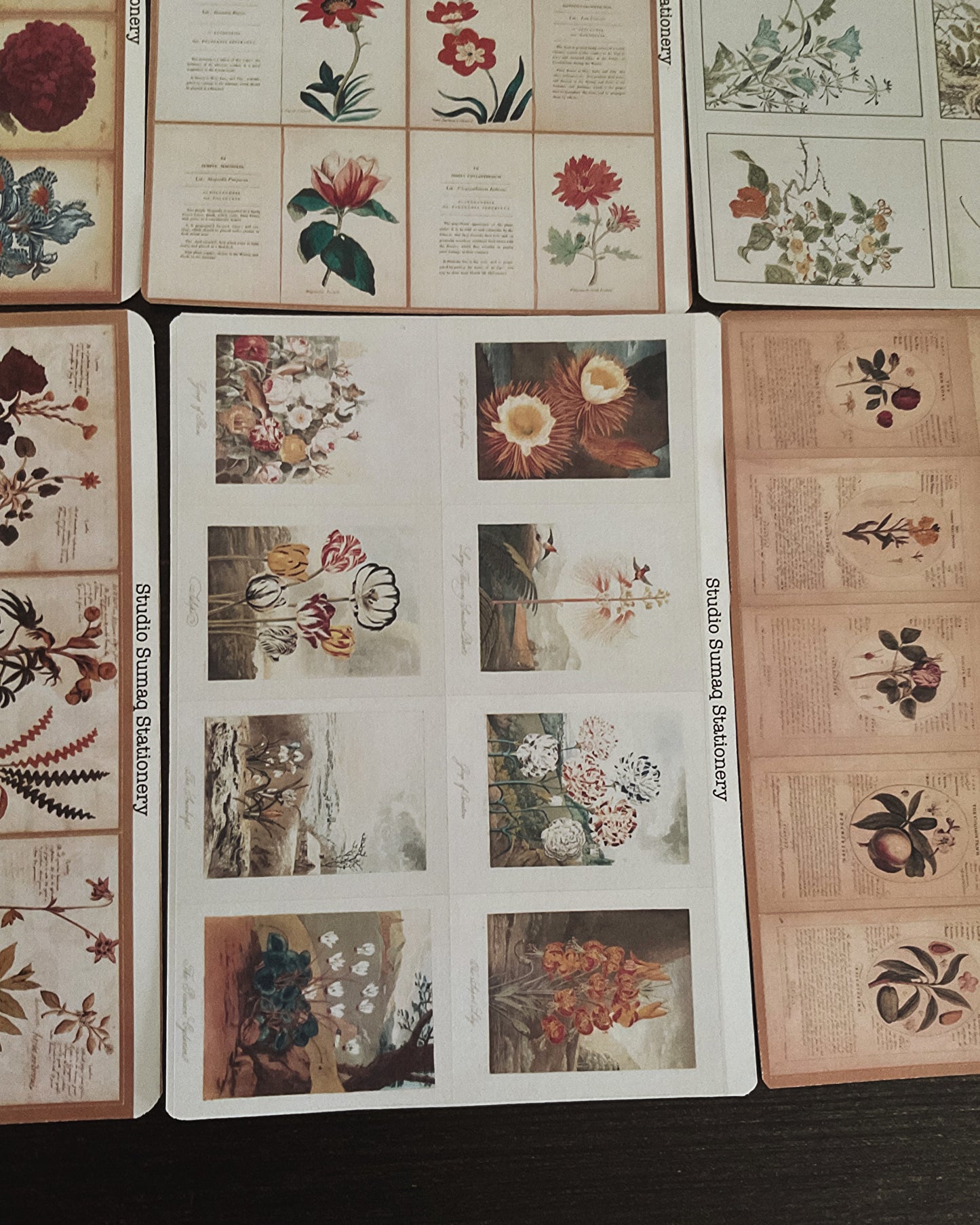 Vernal Studies - Spring Botanical Sticker Collection