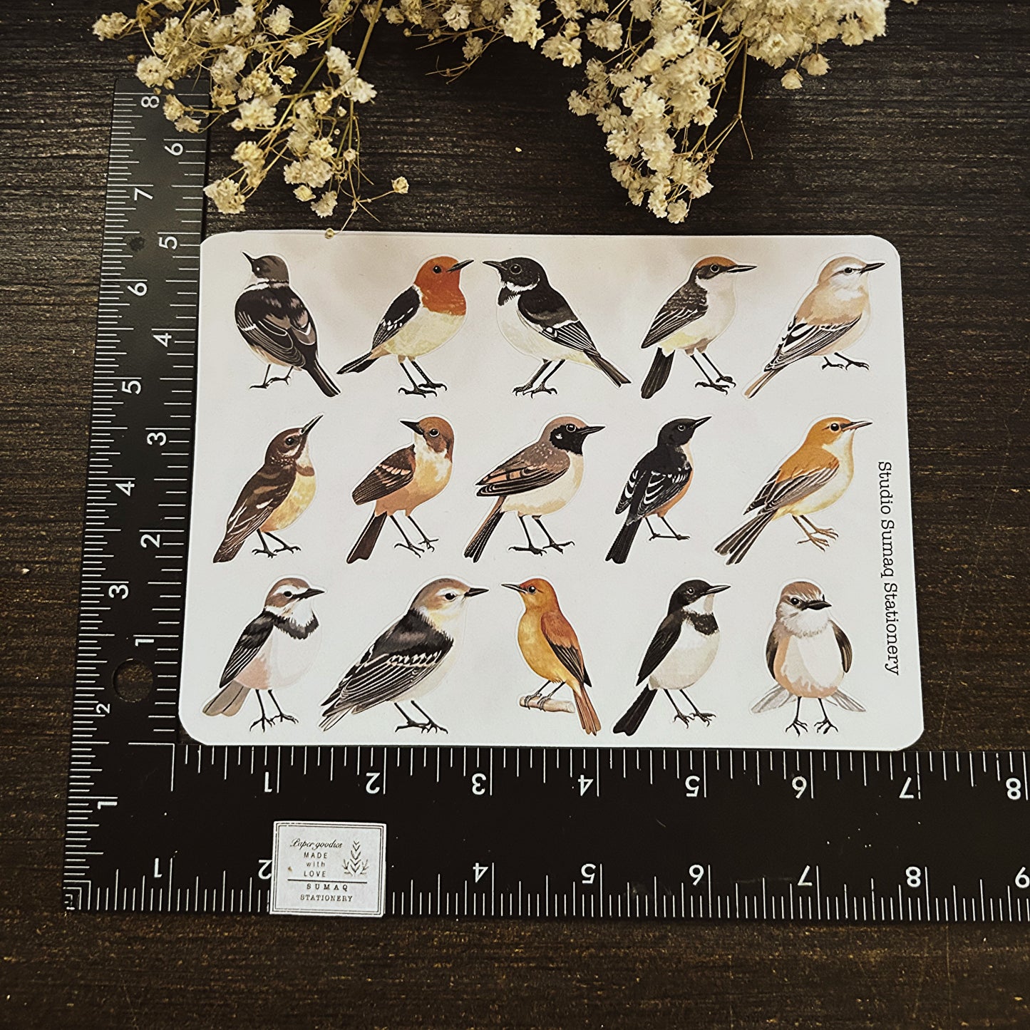 Vintage birds stickers - Decorative ornithology Scrapbook & Journal stickers