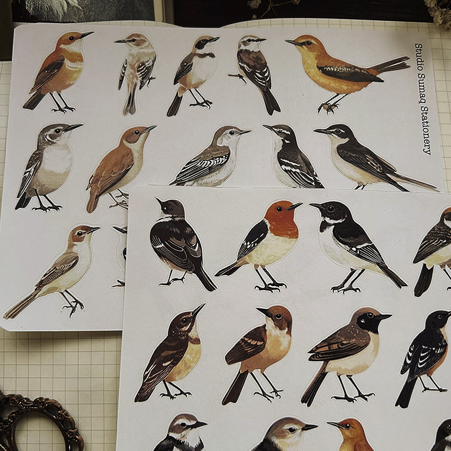 Vintage birds stickers - Decorative ornithology Scrapbook & Journal stickers