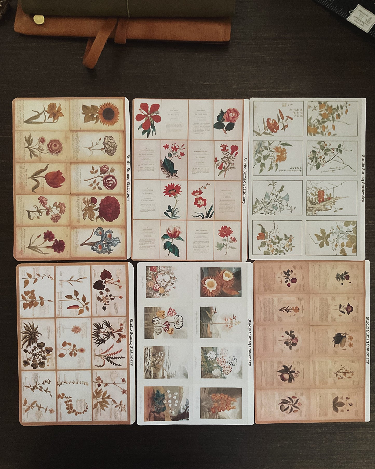 Vernal Studies - Spring Botanical Sticker Collection