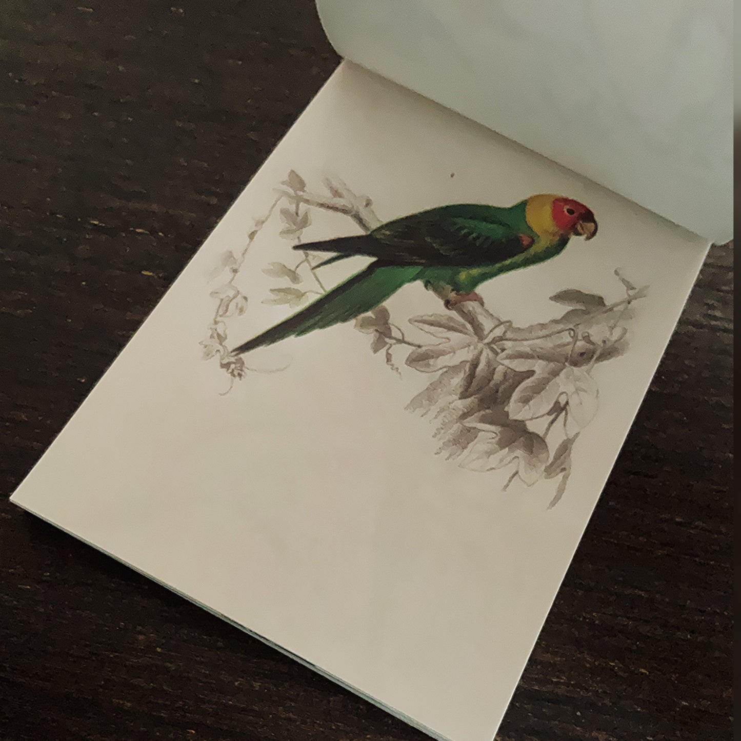 Vintage nature notepad