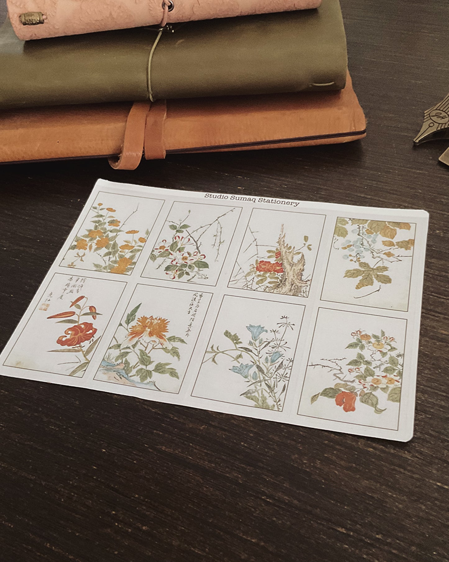 Vernal Studies - Spring Botanical Sticker Collection