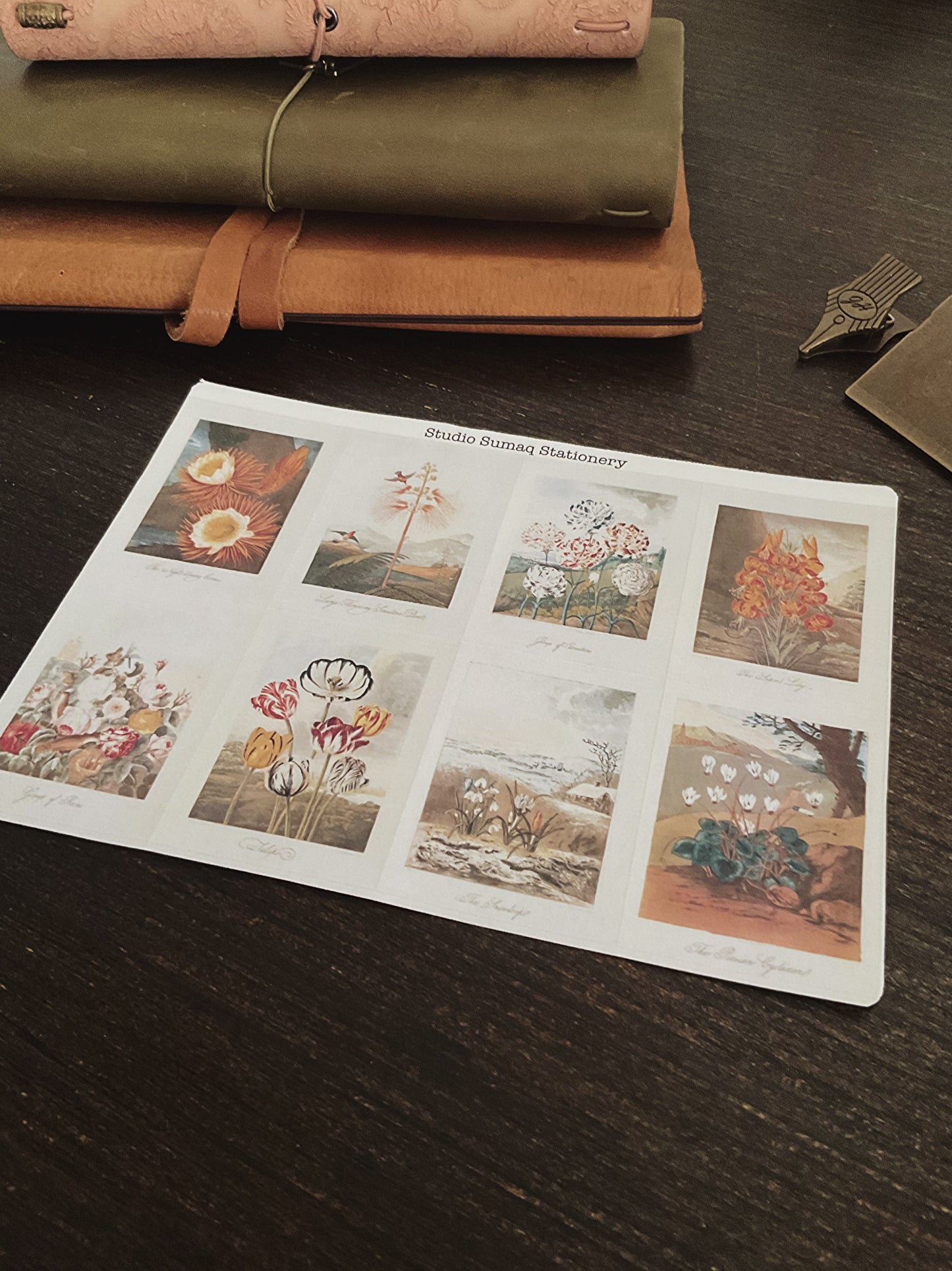 Vernal Studies - Spring Botanical Sticker Collection