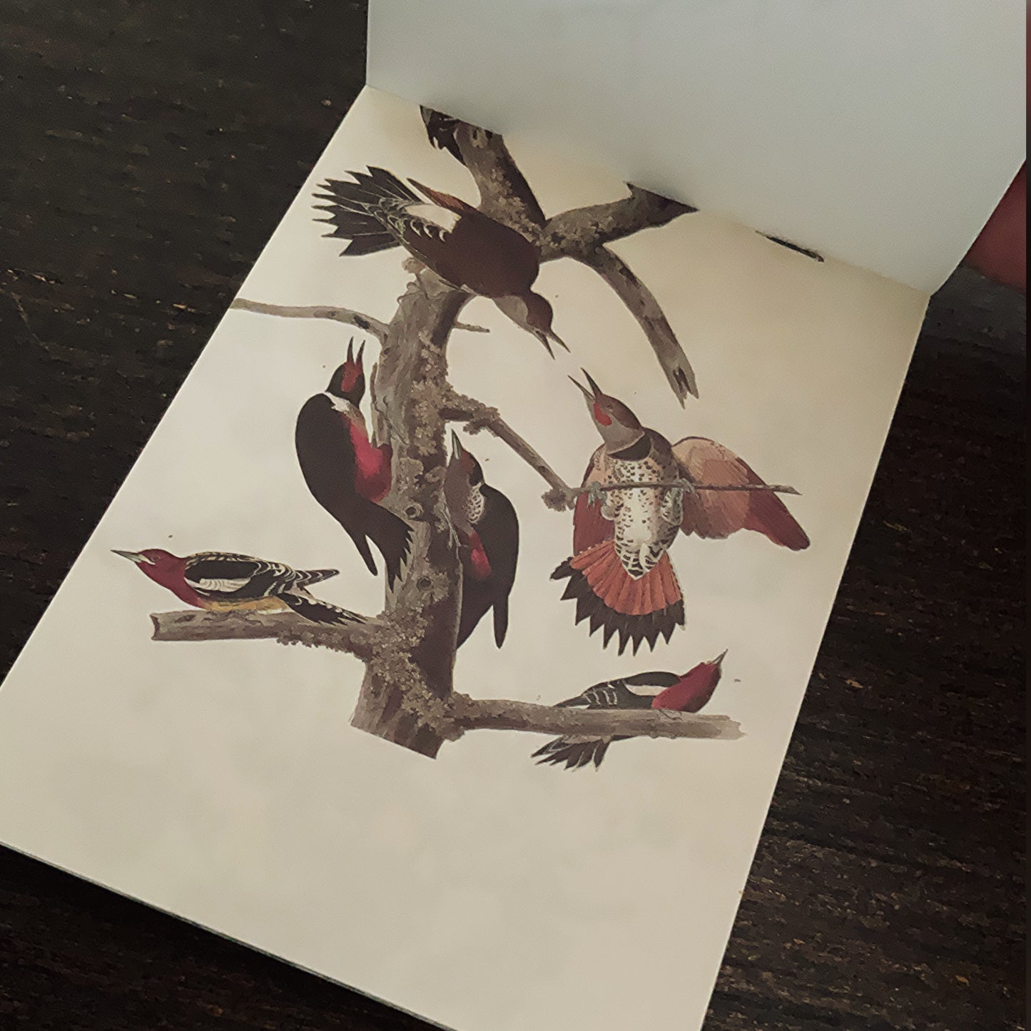 Vintage nature notepad