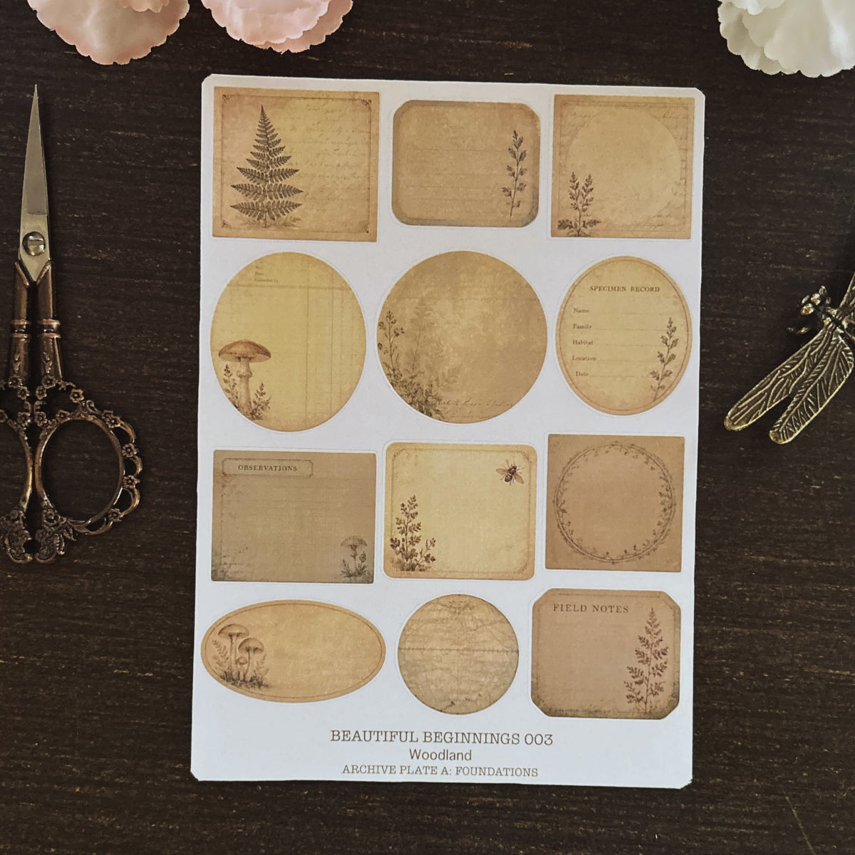 Beautiful Beginnings No. 003. Woodland