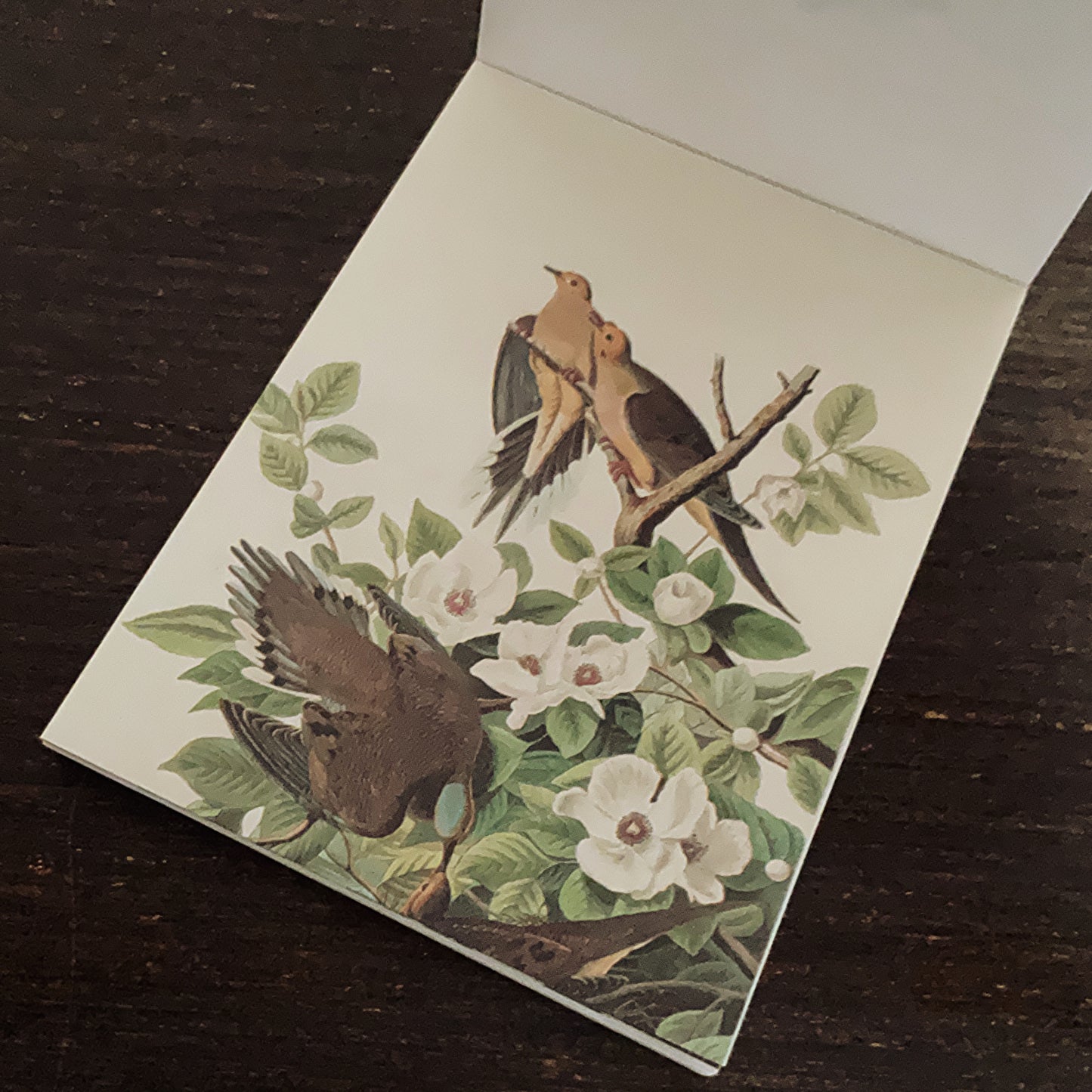 Vintage nature notepad