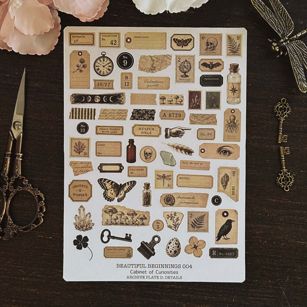 Beautiful Beginnings No. 004. Cabinet of Curiosities