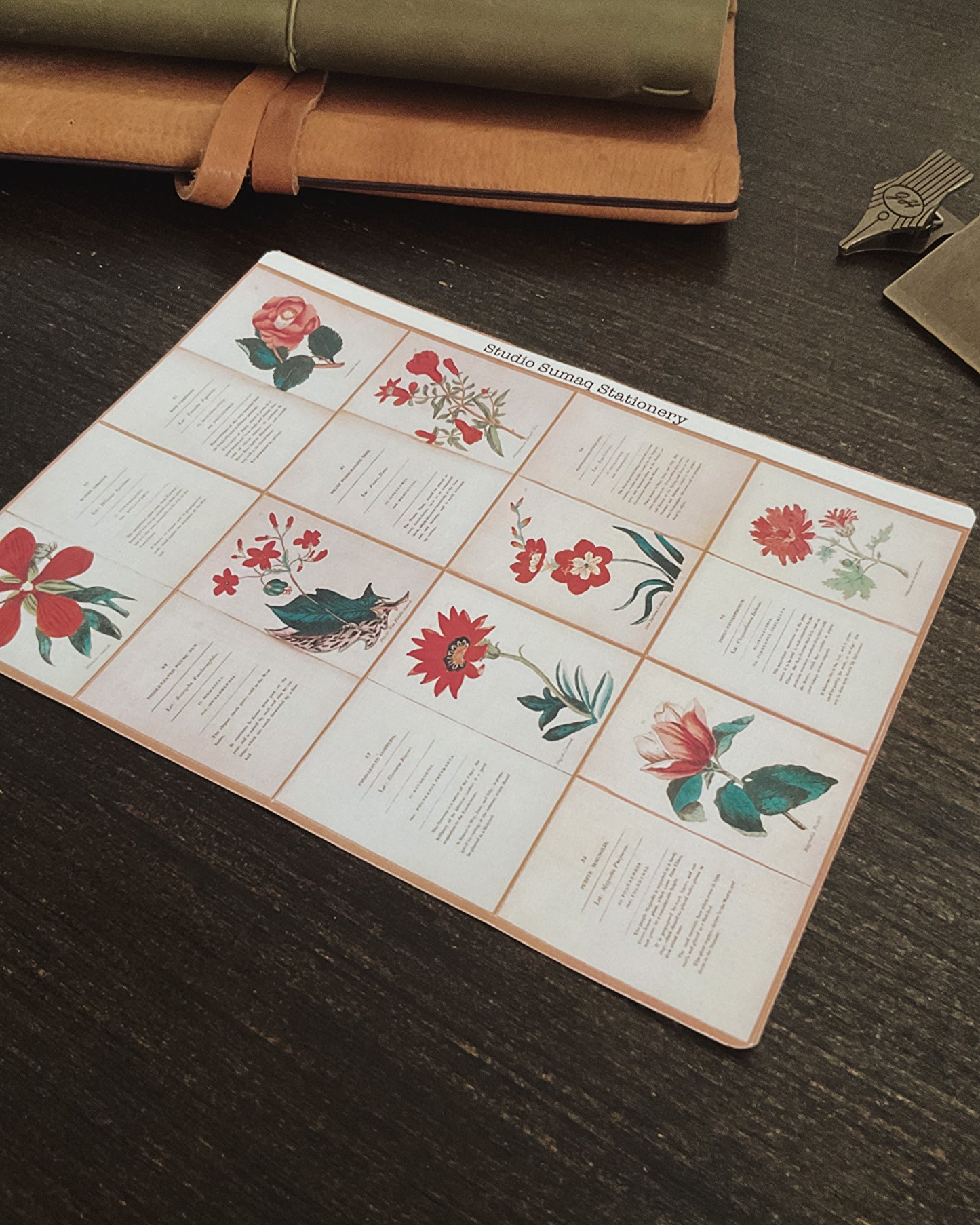 Vernal Studies - Spring Botanical Sticker Collection