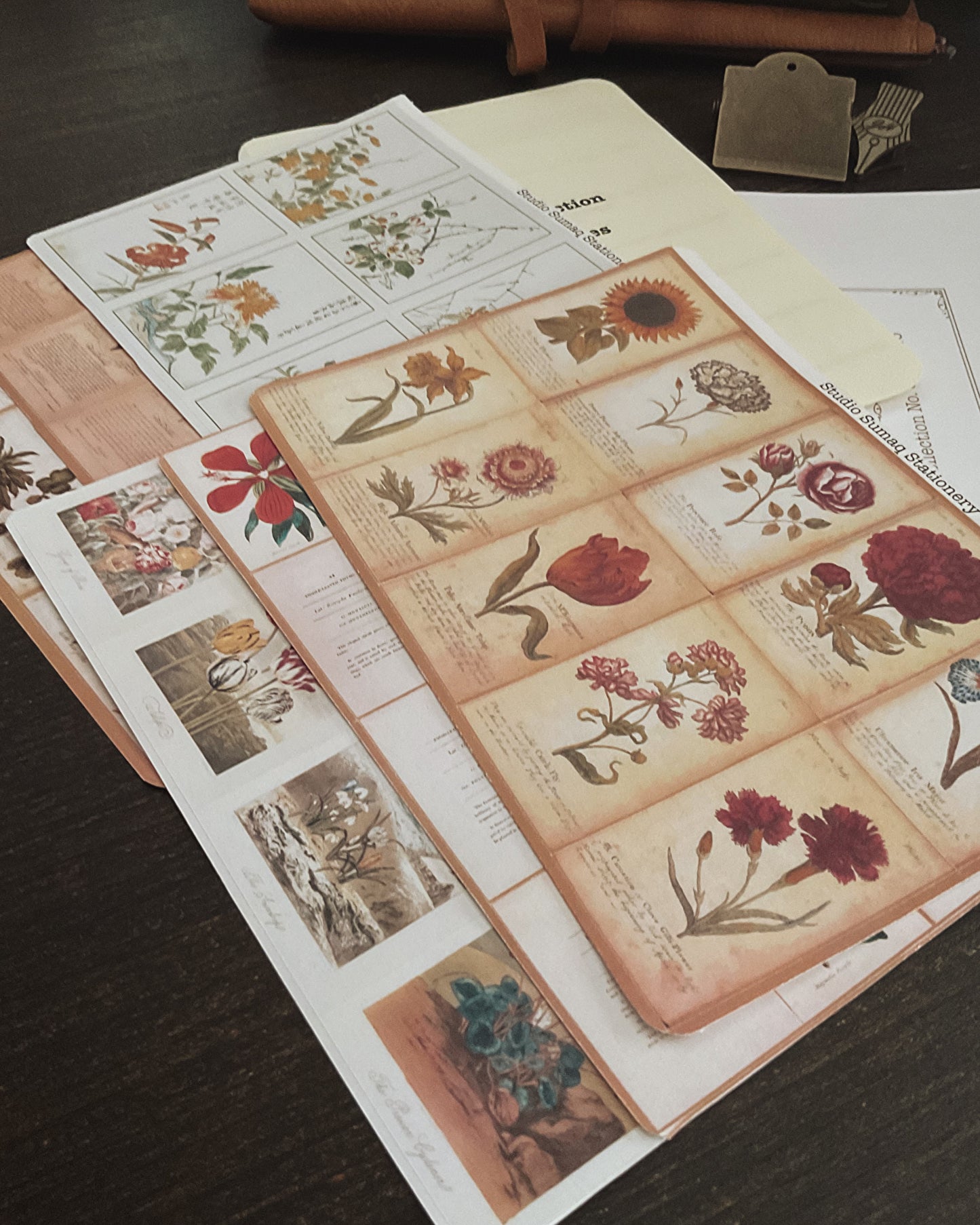 Vernal Studies - Spring Botanical Sticker Collection