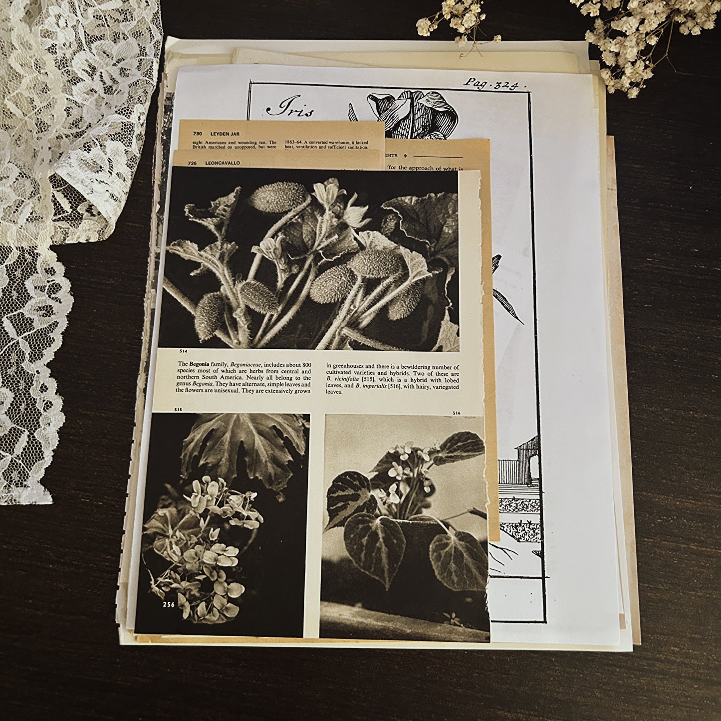 Vintage Book Page Ephemera Pack: 50 Assorted Antique Paper Pieces of Ephemera Junk Journals.  Authentic Pages from Historical Sources