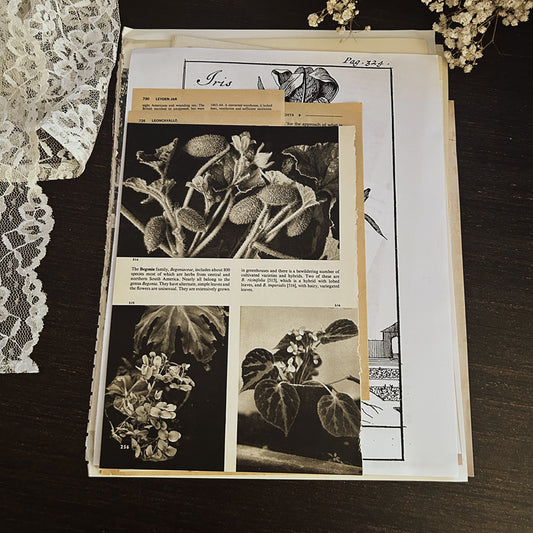 Vintage Book Page Ephemera Pack: 50 Assorted Antique Paper Pieces of Ephemera Junk Journals.  Authentic Pages from Historical Sources