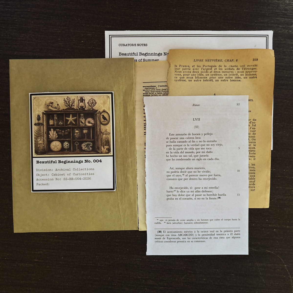 Beautiful Beginnings No. 004. Cabinet of Curiosities
