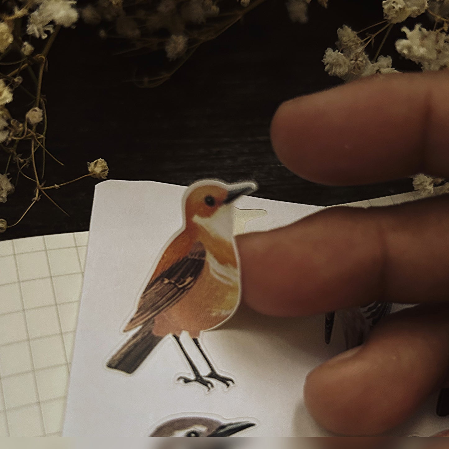 Vintage birds stickers - Decorative ornithology Scrapbook & Journal stickers