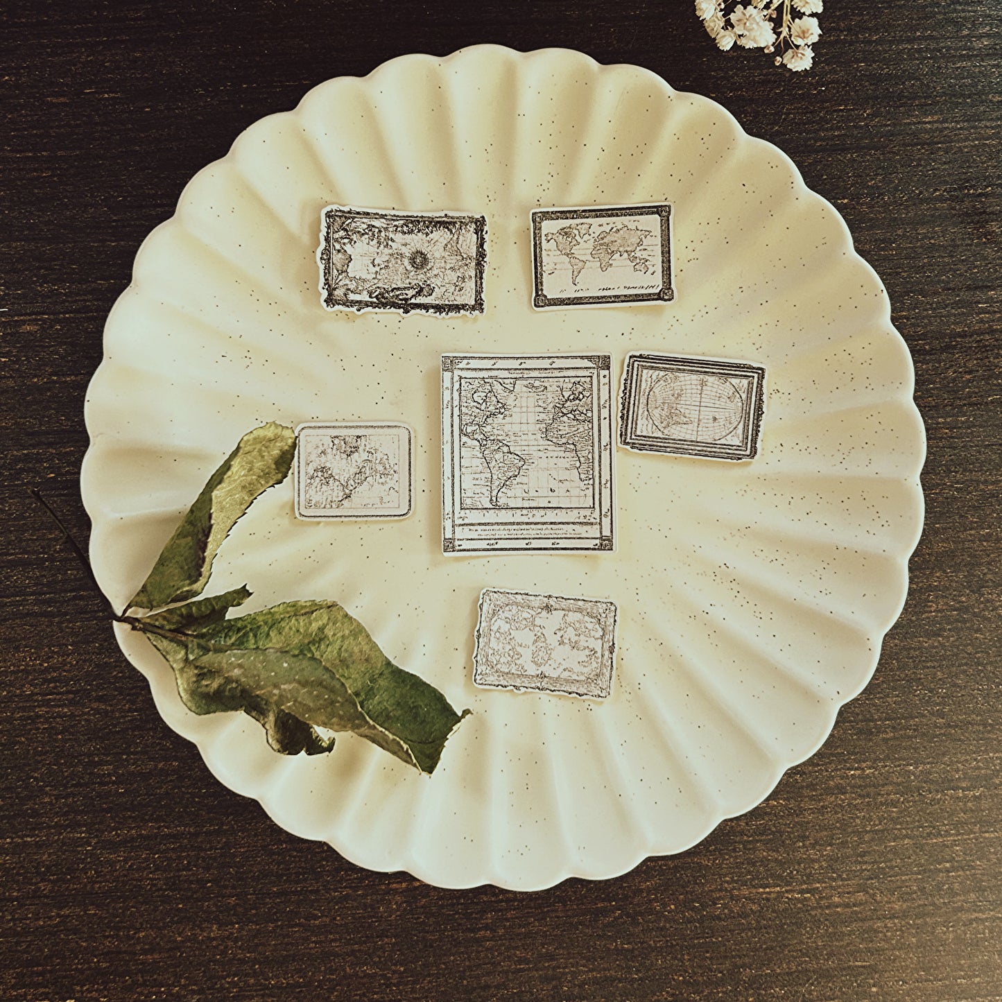 27 pieces set. Cartography inspired sticker flakes, Art Journal Stickers, tea-dyed look stickers