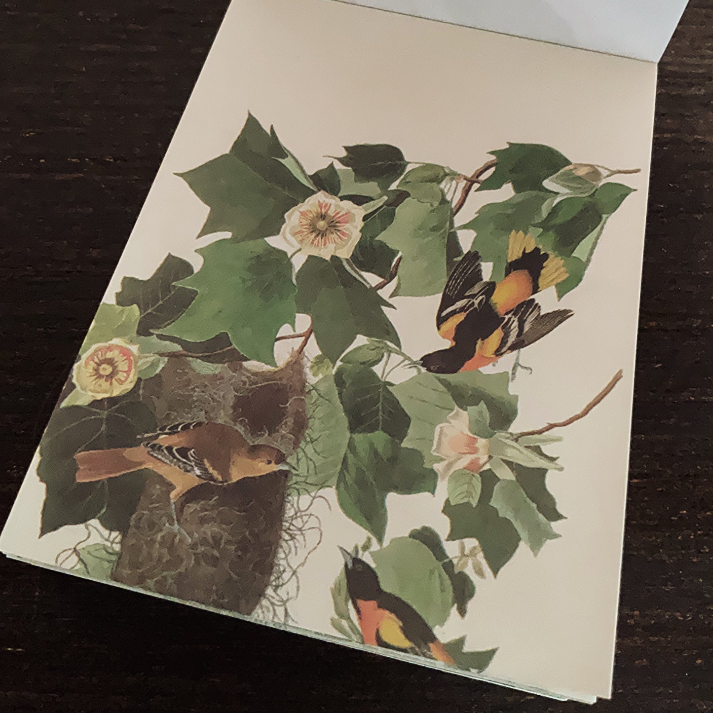 Vintage nature notepad