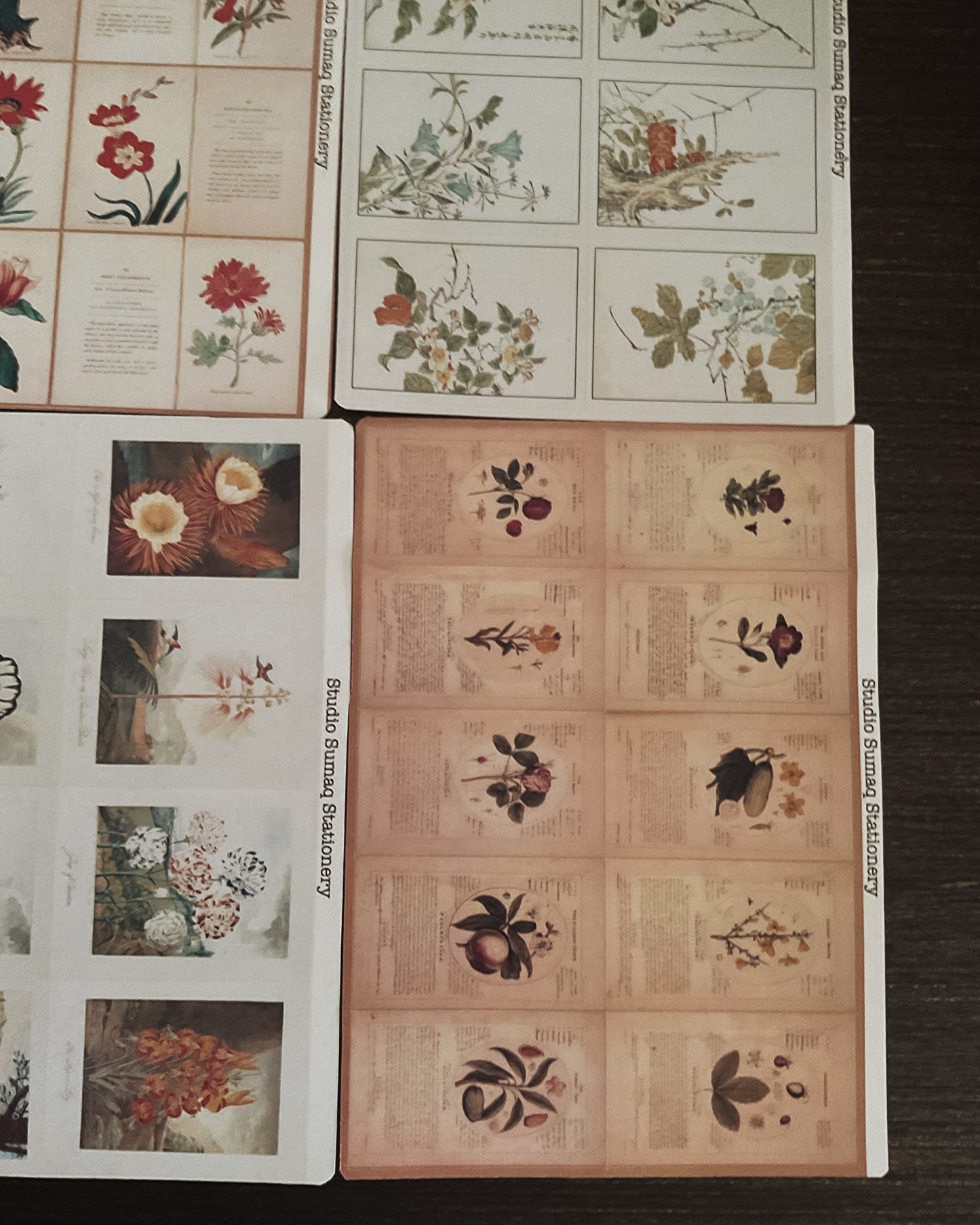 Vernal Studies - Spring Botanical Sticker Collection