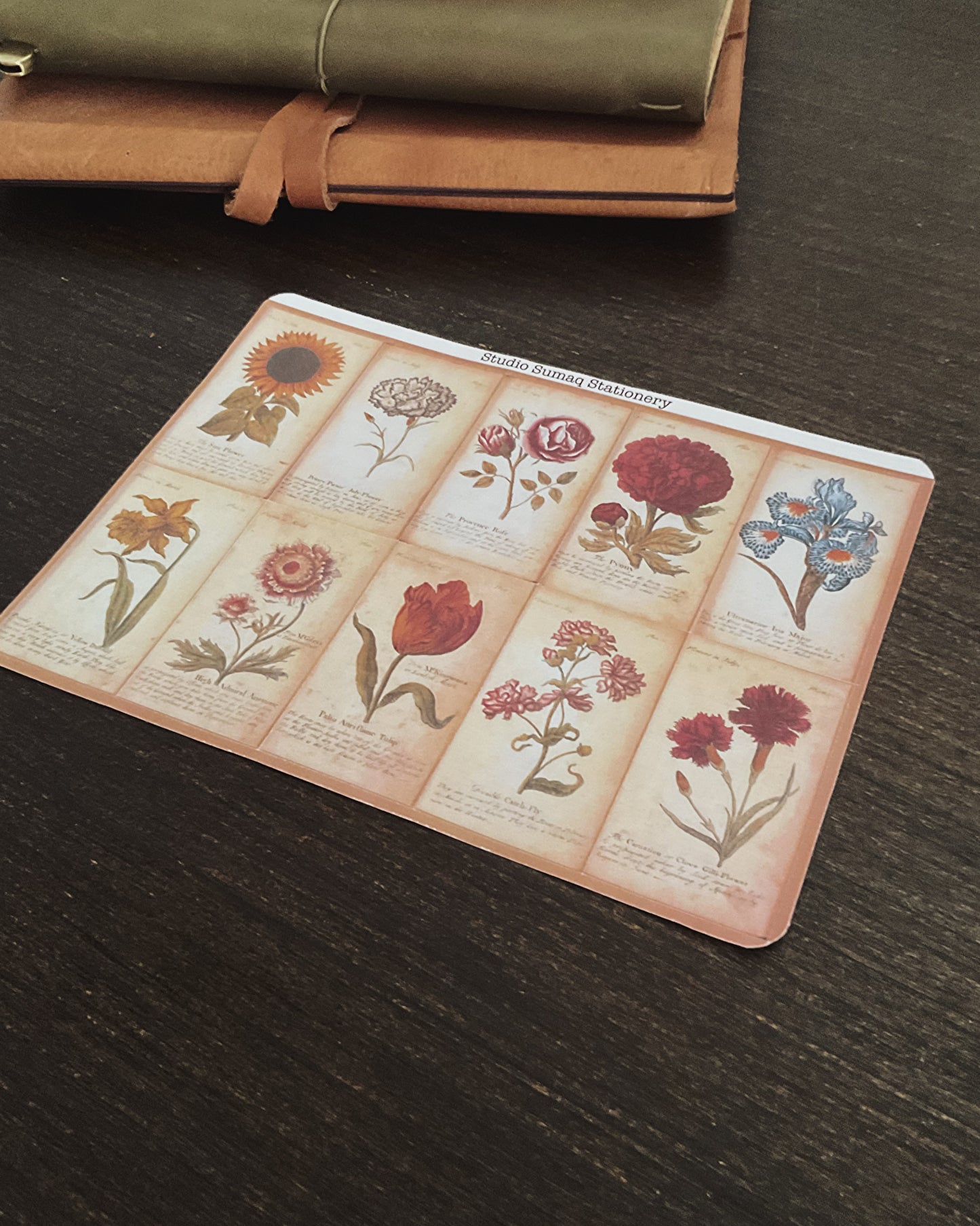 Vernal Studies - Spring Botanical Sticker Collection