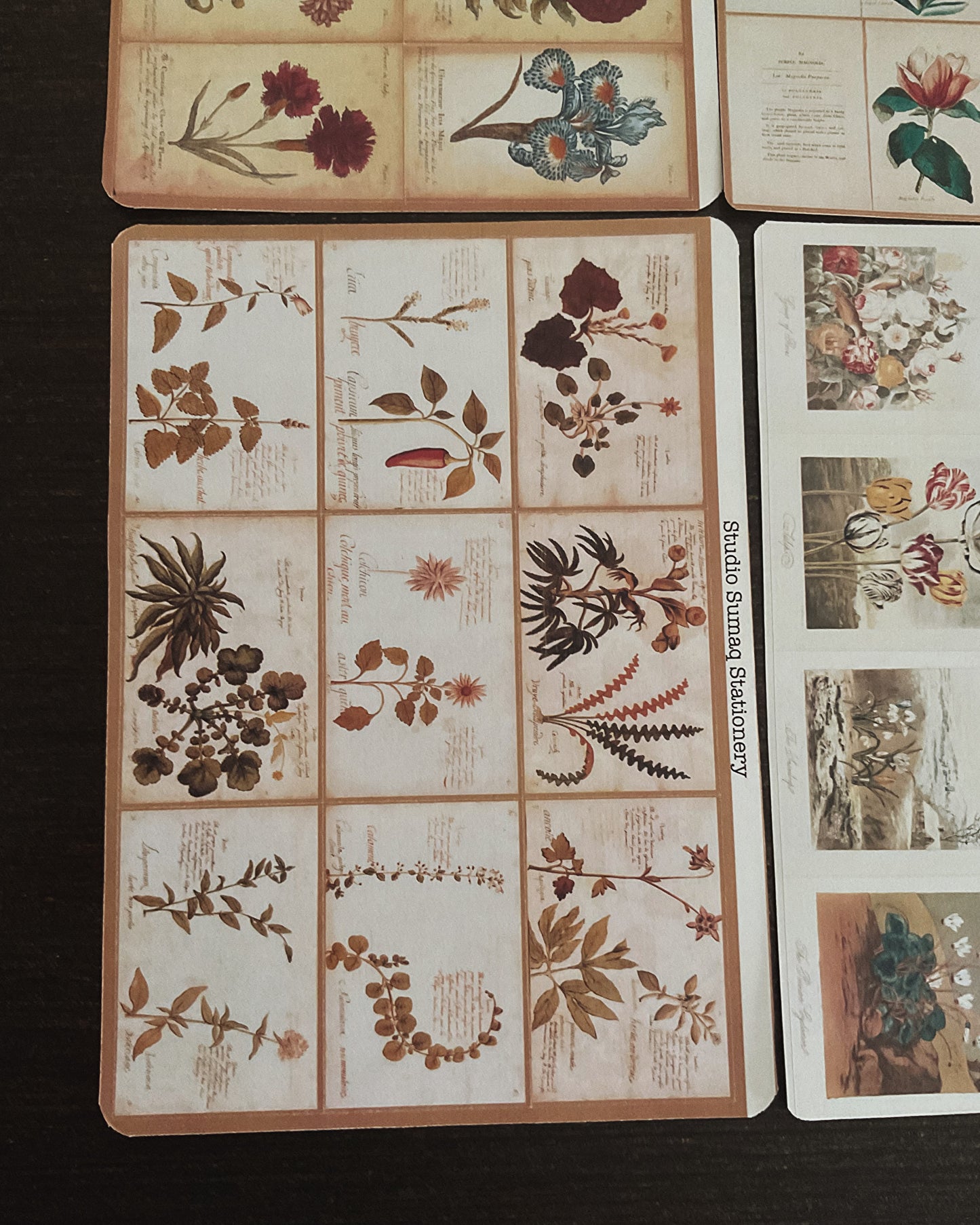 Vernal Studies - Spring Botanical Sticker Collection