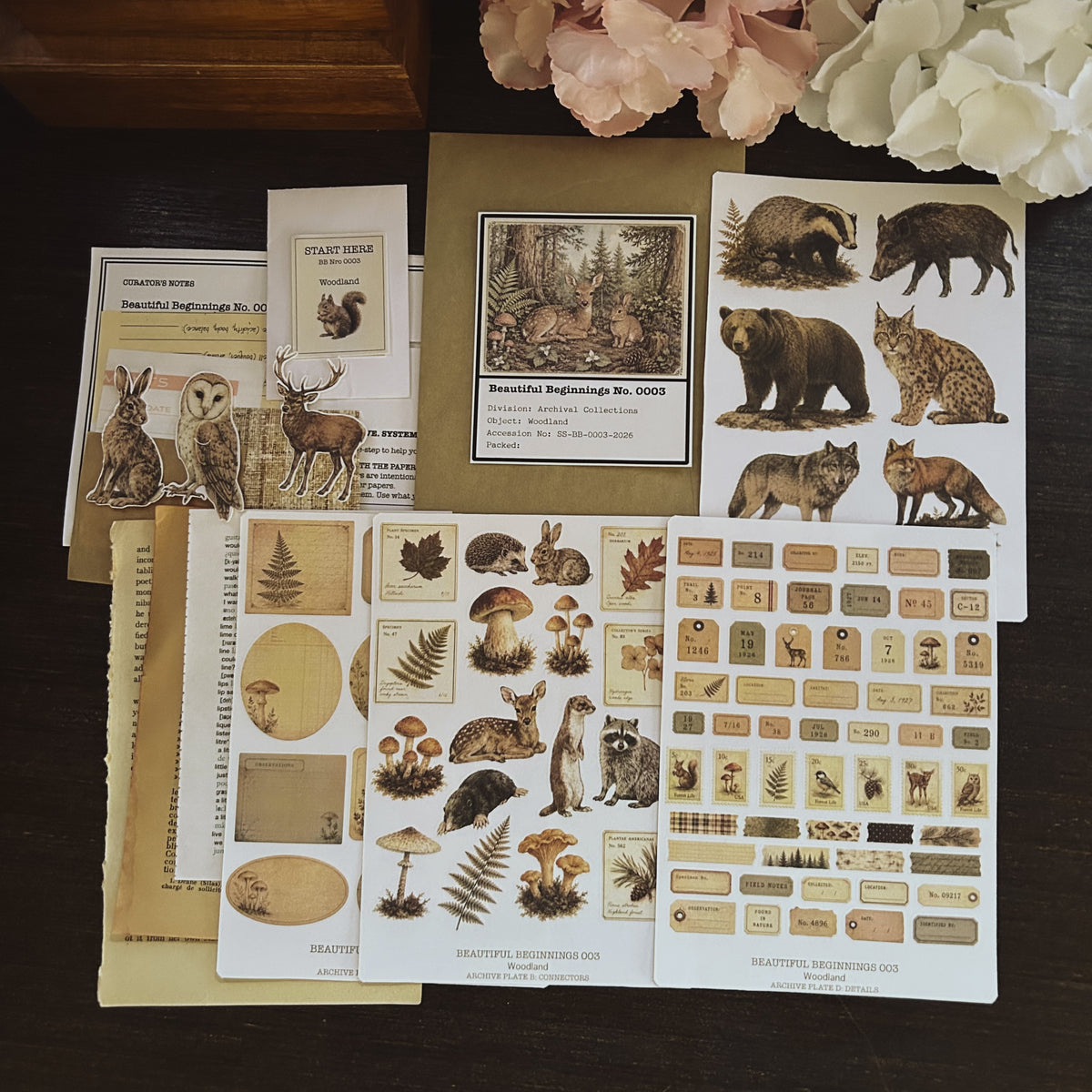 Beautiful Beginnings No. 003. Woodland