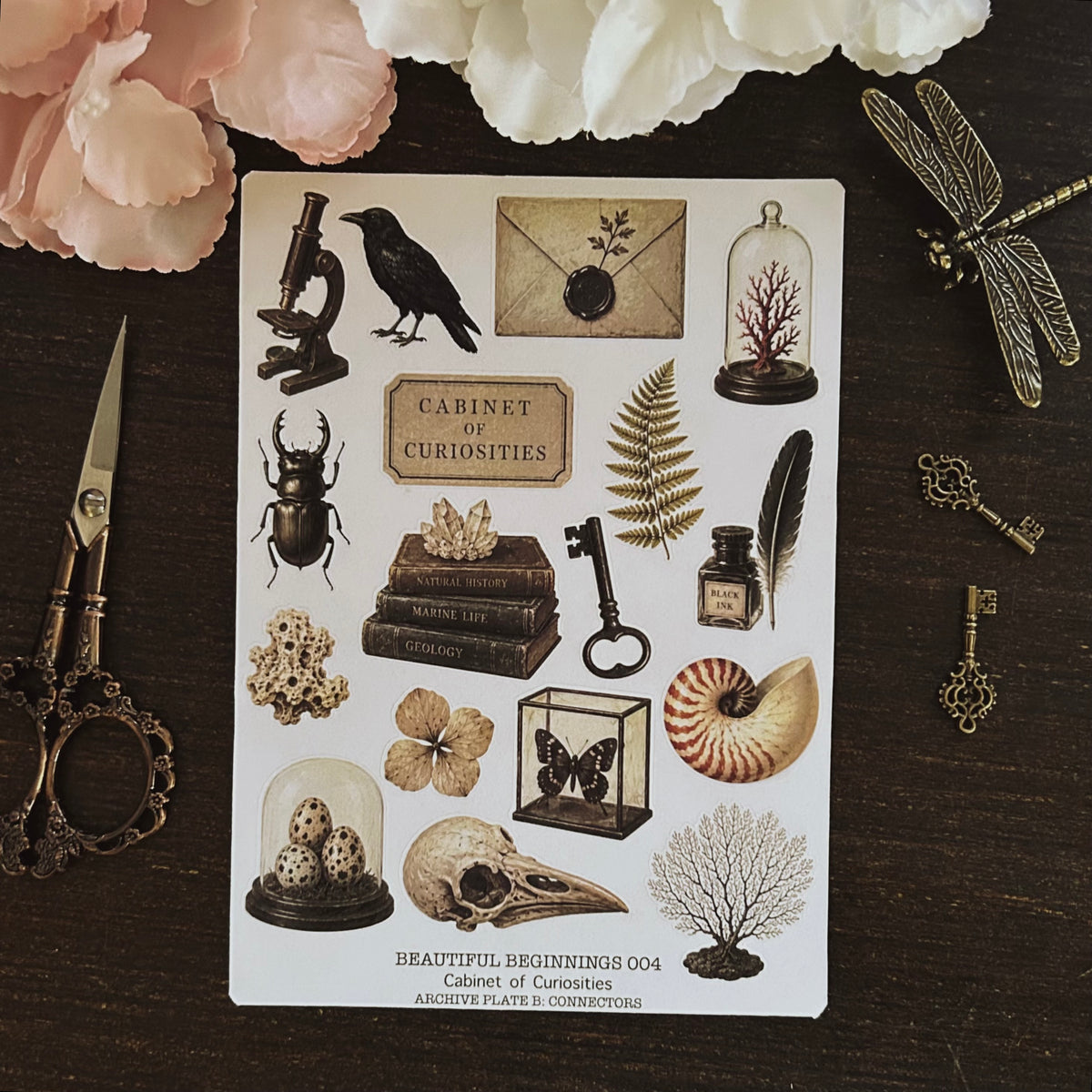 Beautiful Beginnings No. 004. Cabinet of Curiosities