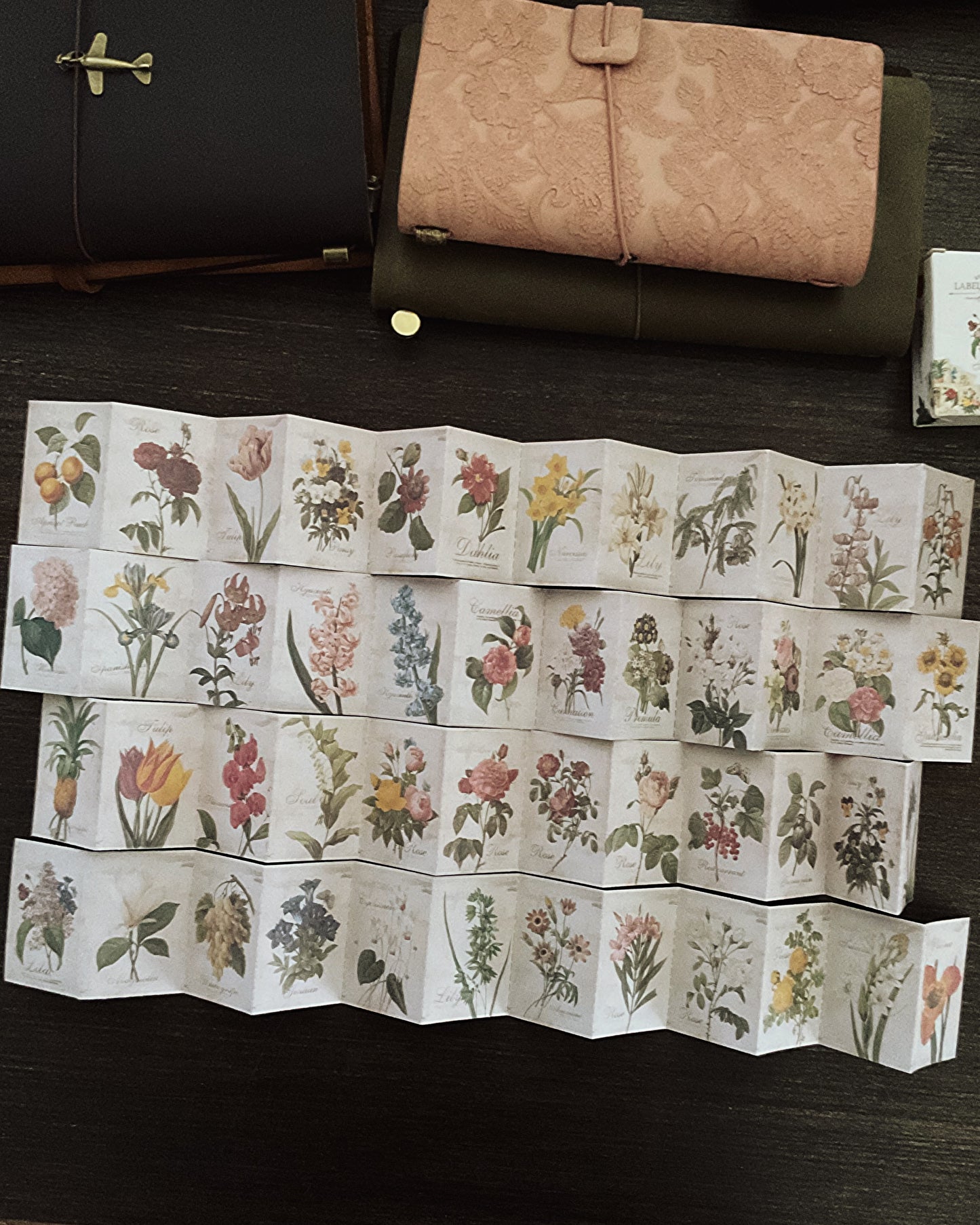 Botanical sticker set