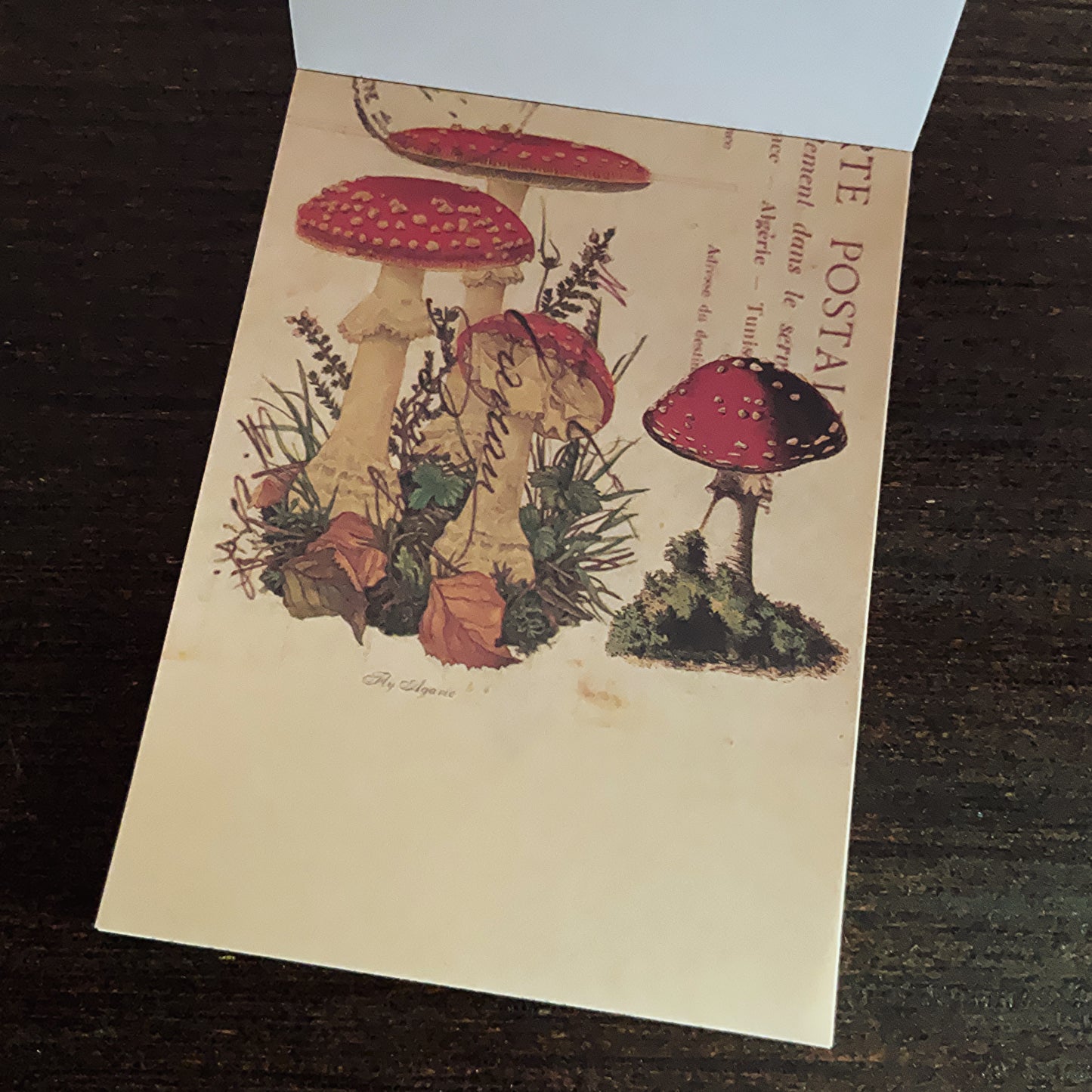 Vintage nature notepad