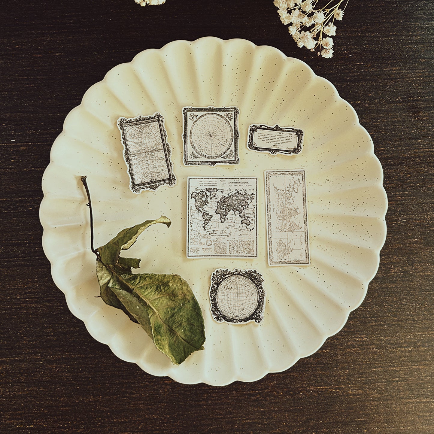 27 pieces set. Cartography inspired sticker flakes, Art Journal Stickers, tea-dyed look stickers