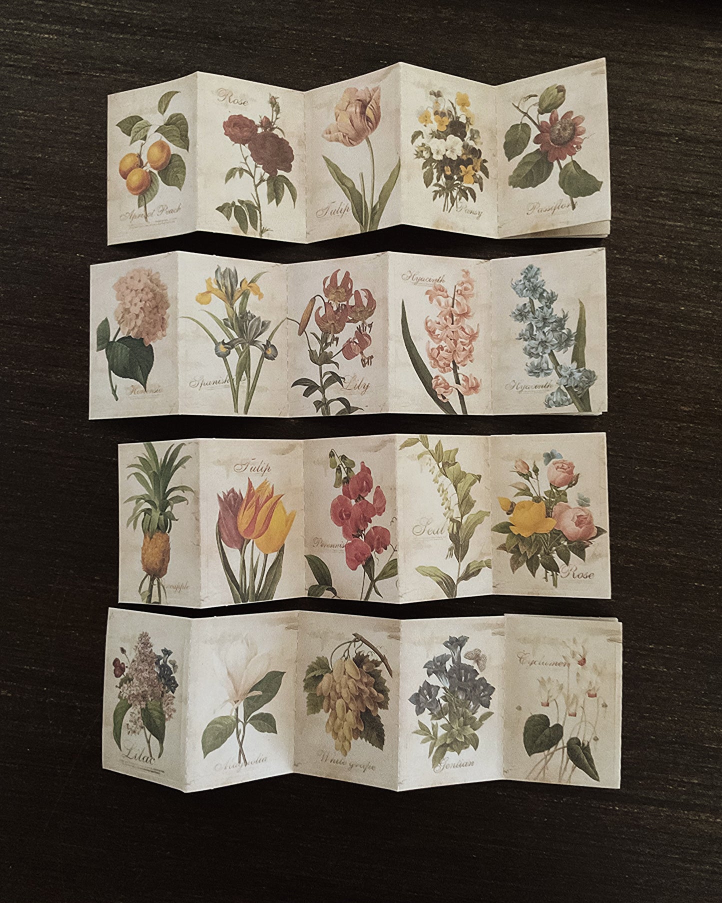 Botanical sticker set