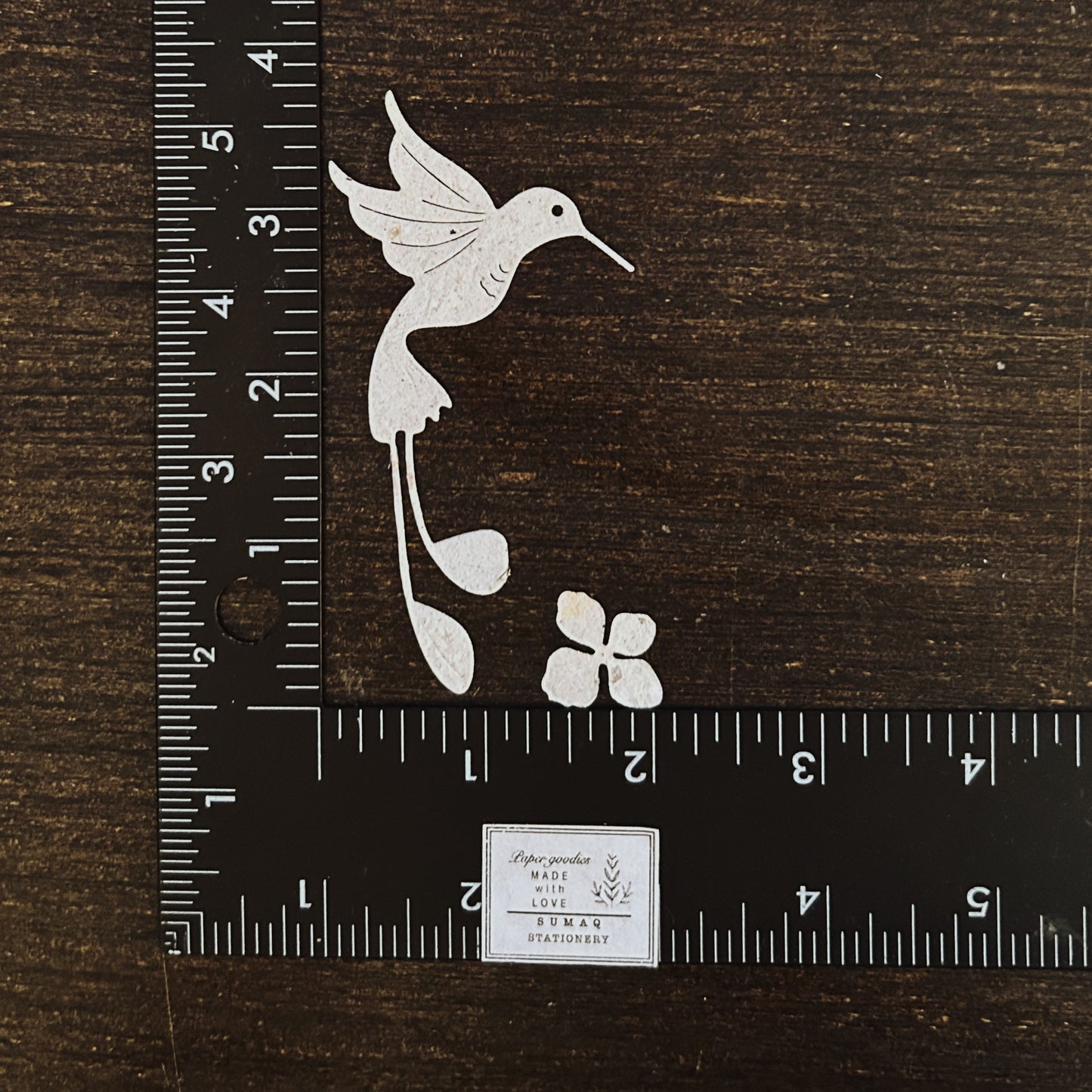 Flowers and Hummingbirds