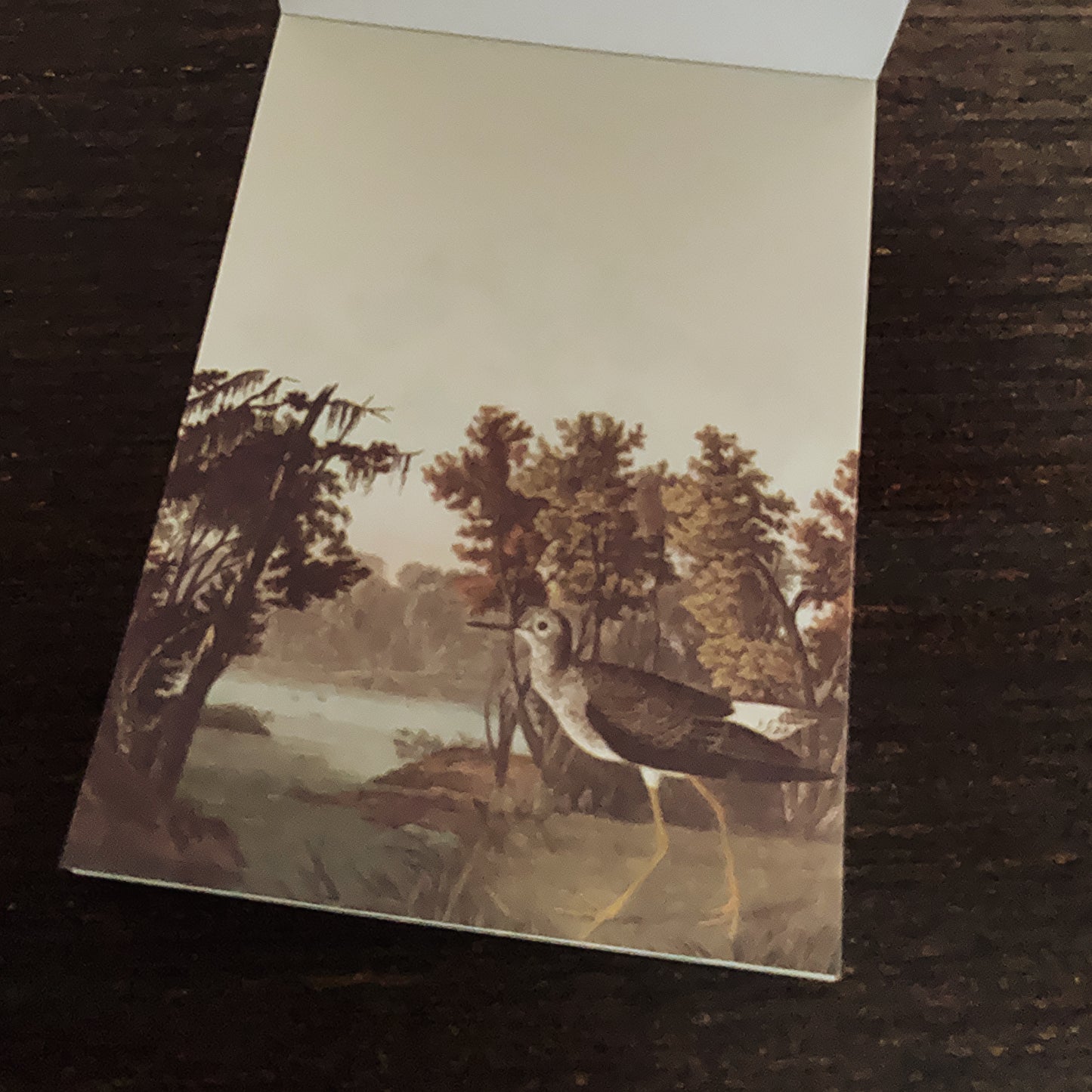 Vintage nature notepad