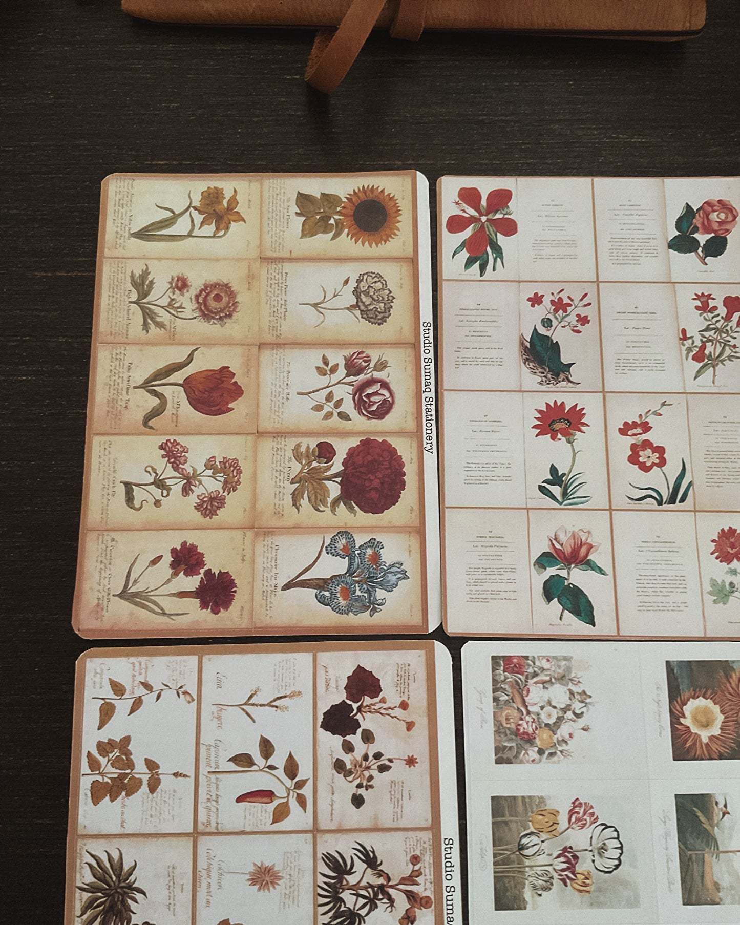Vernal Studies - Spring Botanical Sticker Collection