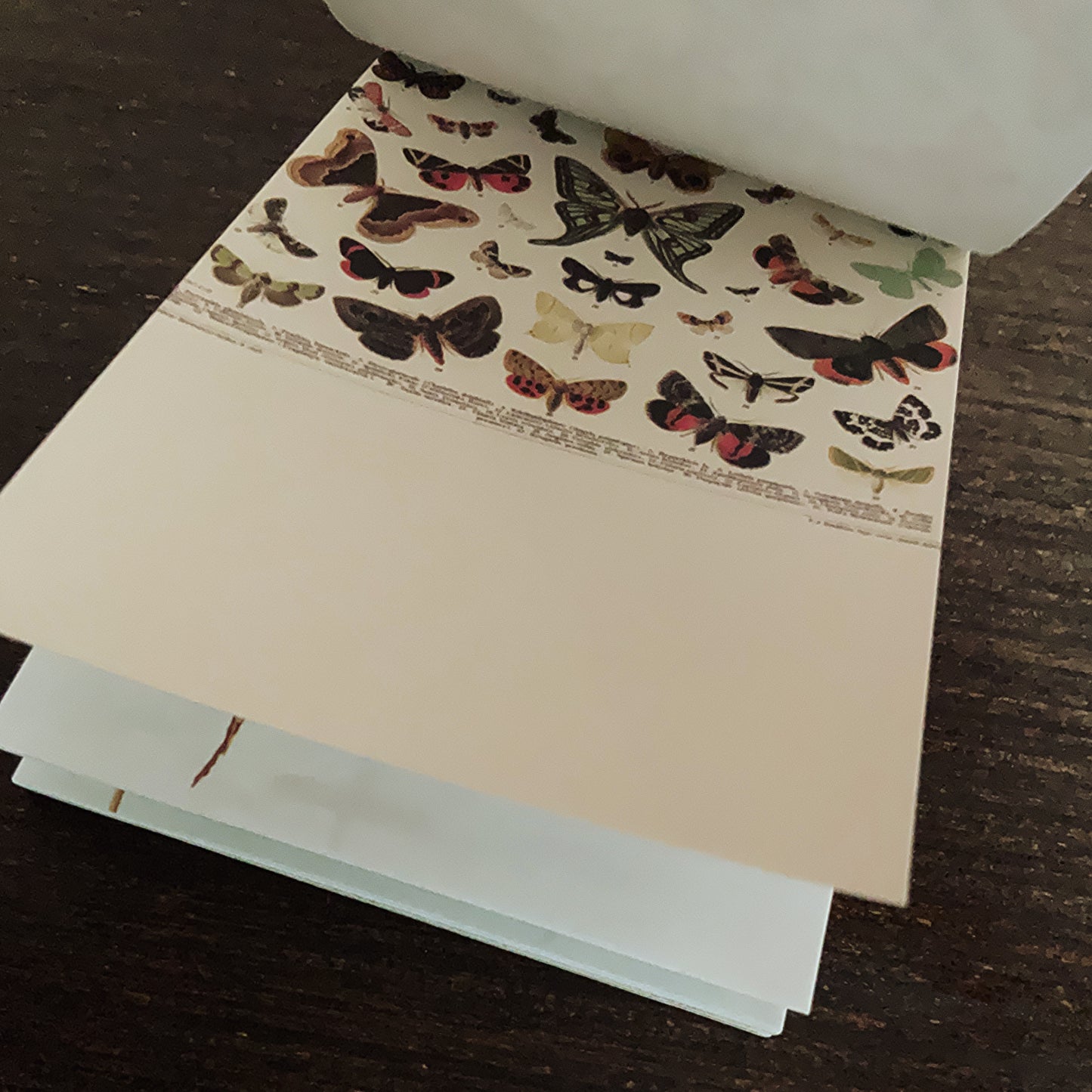 Vintage nature notepad