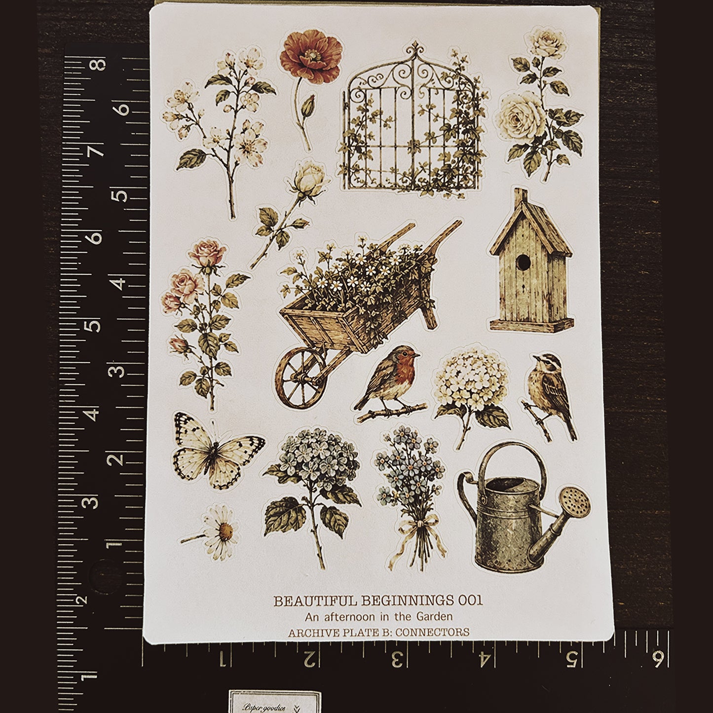 Beautiful Beginnings No. 001. An afternoon in the Garden