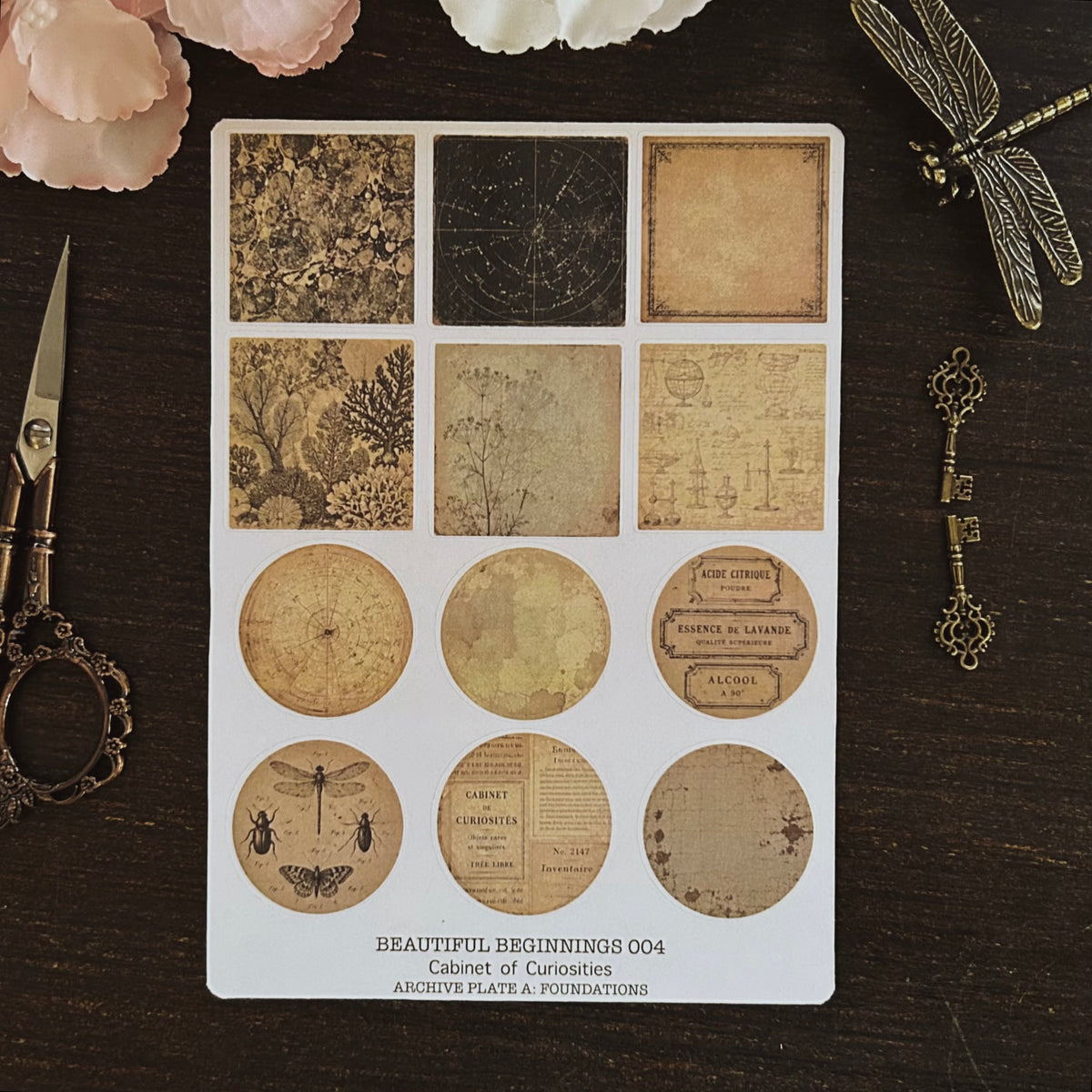 Beautiful Beginnings No. 004. Cabinet of Curiosities