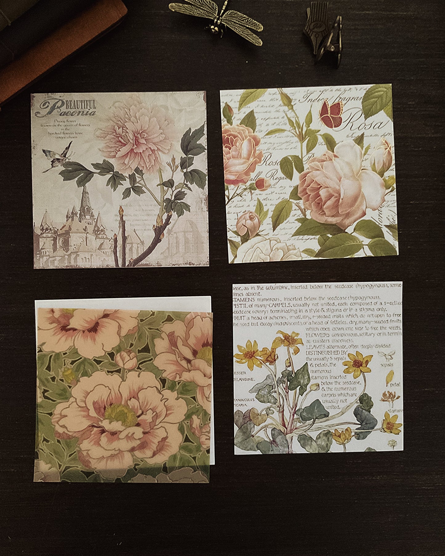 Paper ephemera set
