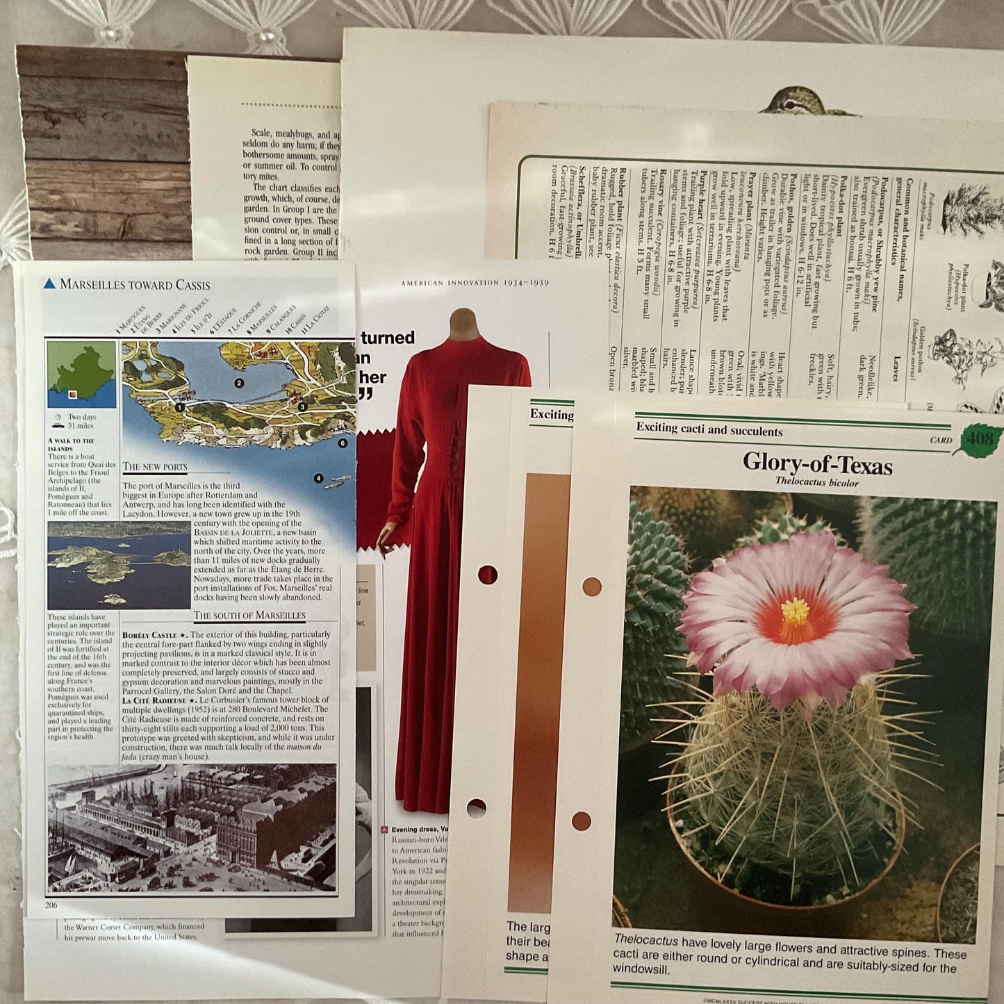 Vintage Book Page Ephemera Pack: 50 Assorted Antique Paper Pieces of Ephemera Junk Journals.  Authentic Pages from Historical Sources