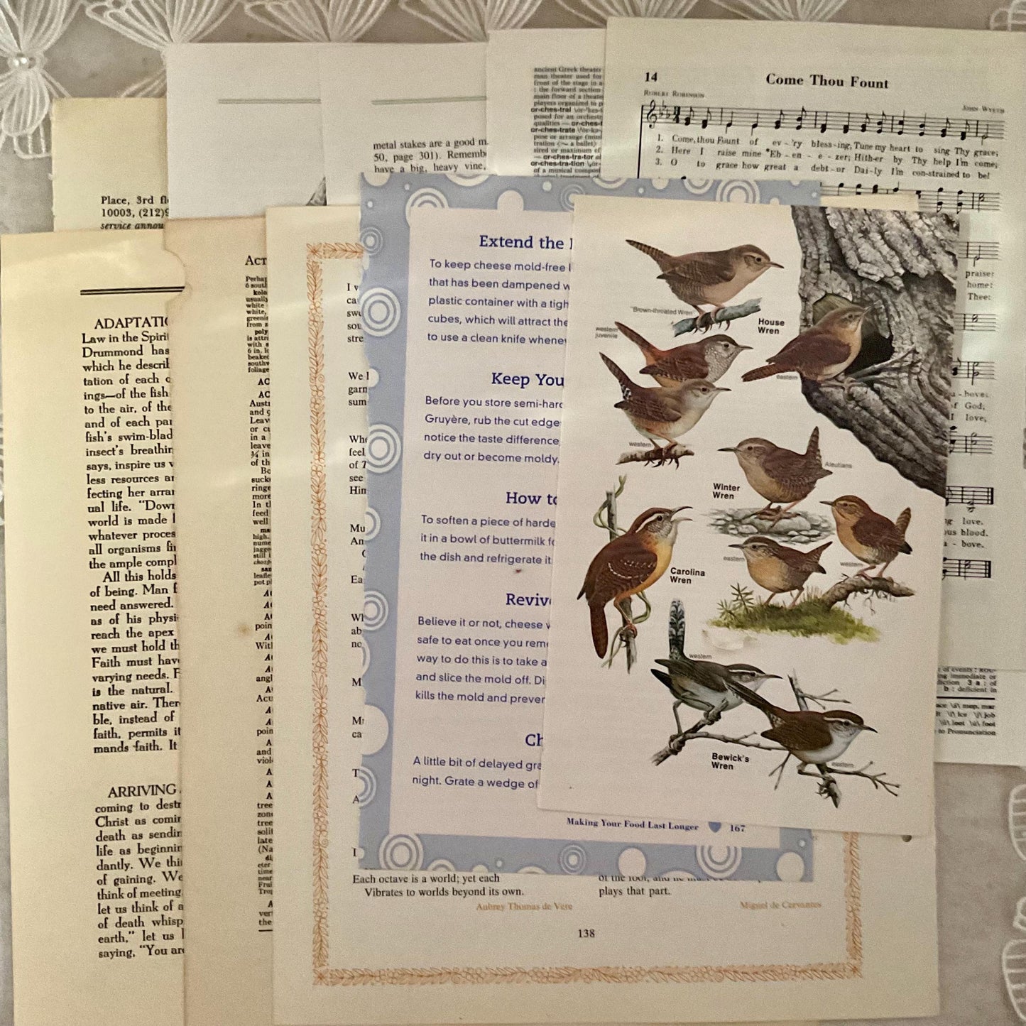 Vintage Book Page Ephemera Pack: 50 Assorted Antique Paper Pieces of Ephemera Junk Journals.  Authentic Pages from Historical Sources